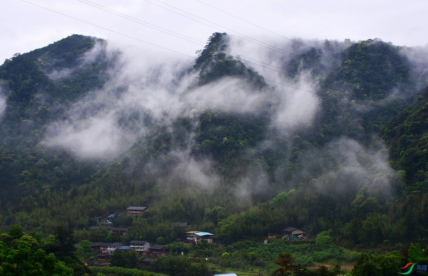 D8I_5353.jpg