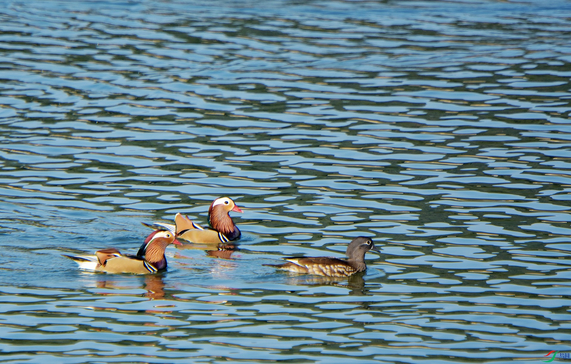 D72_0824.jpg
