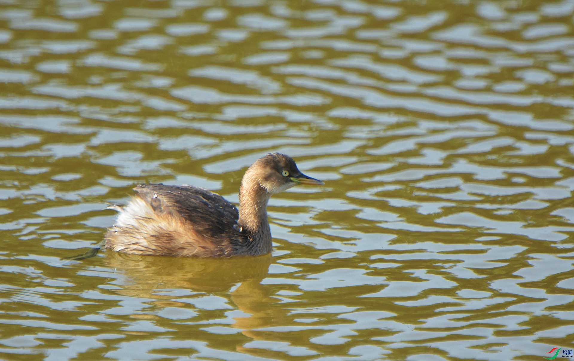 D72_5061.jpg