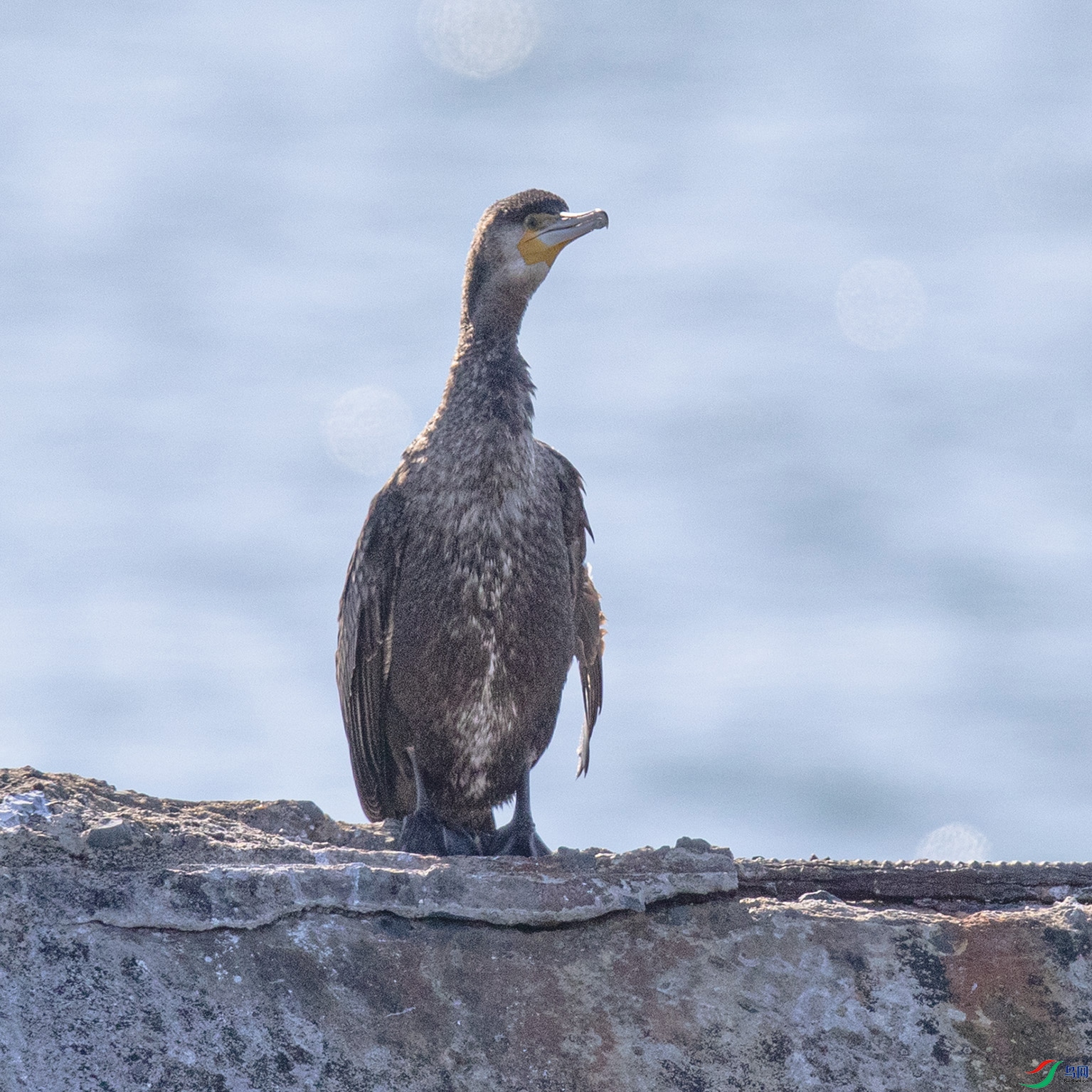 _90I6744 ���� 2.jpg