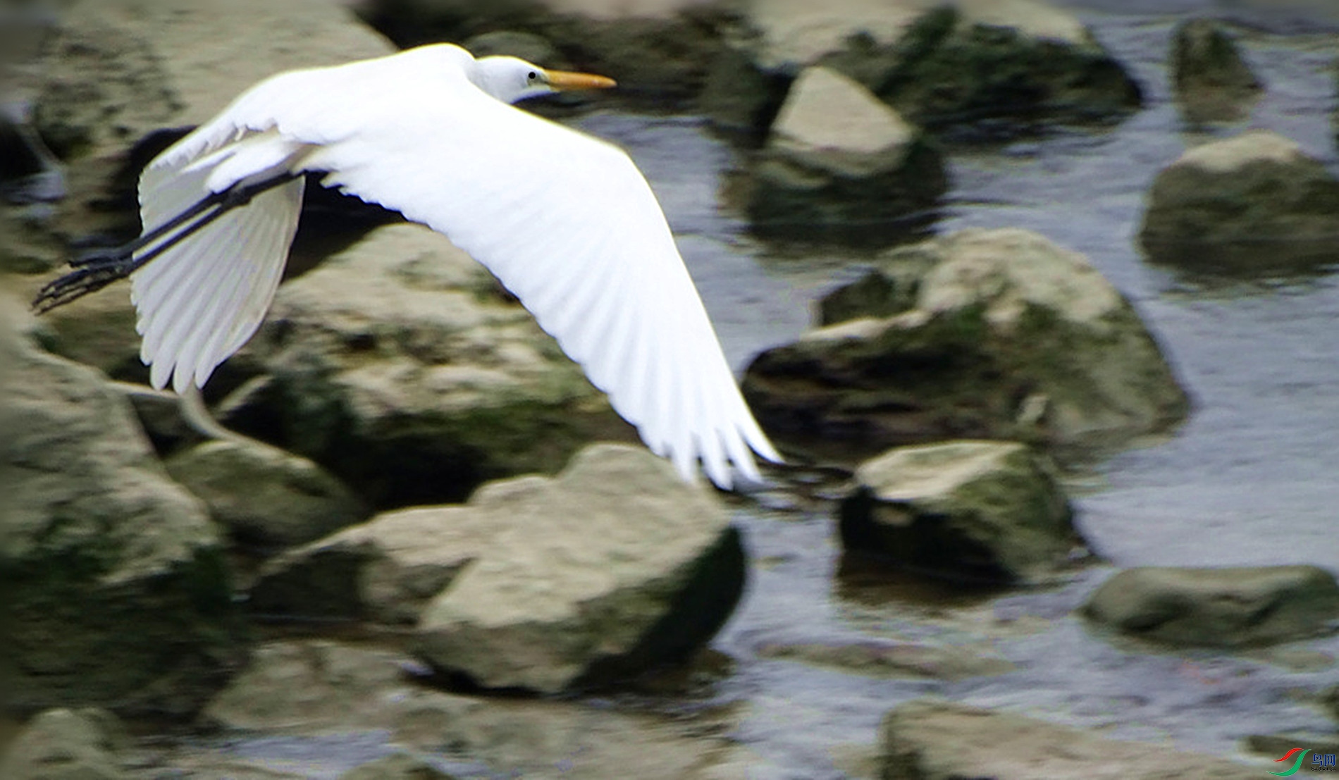 DSC07453_����.jpg