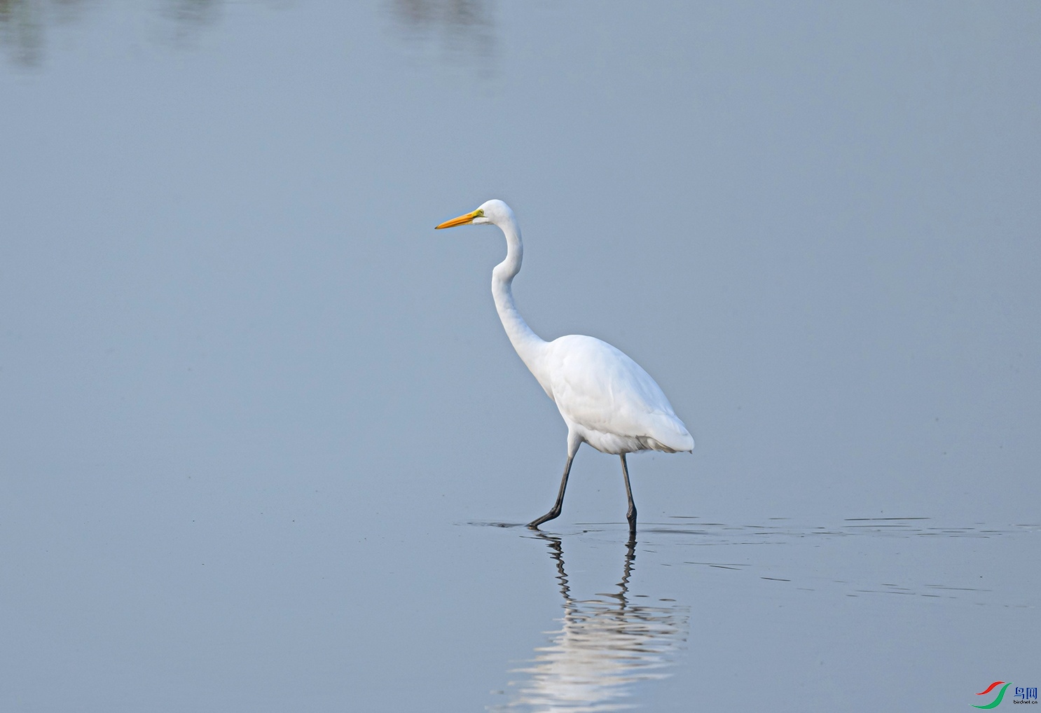 _DSC3544f.jpg