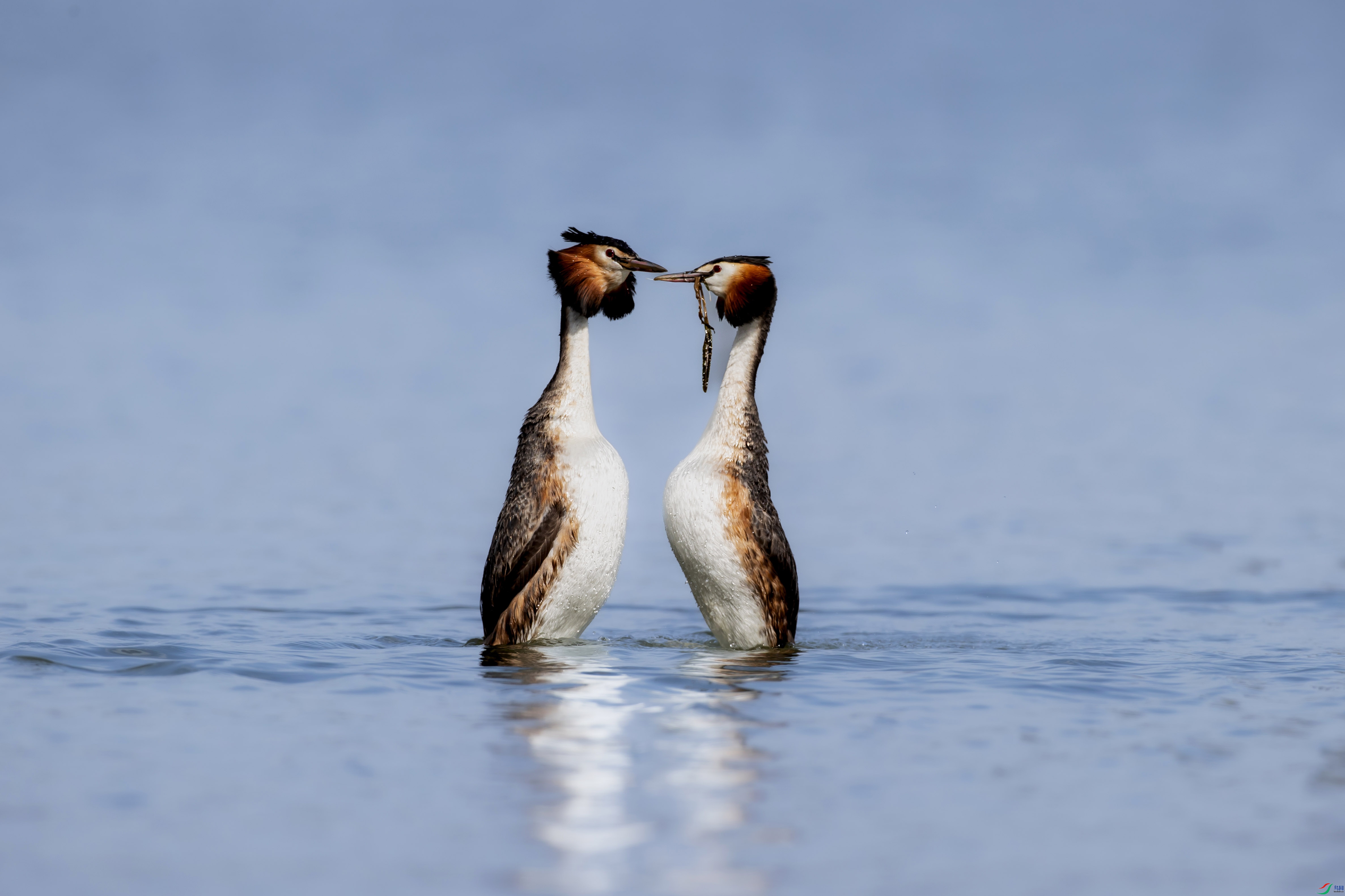 A05I1530 ���� 2.jpg