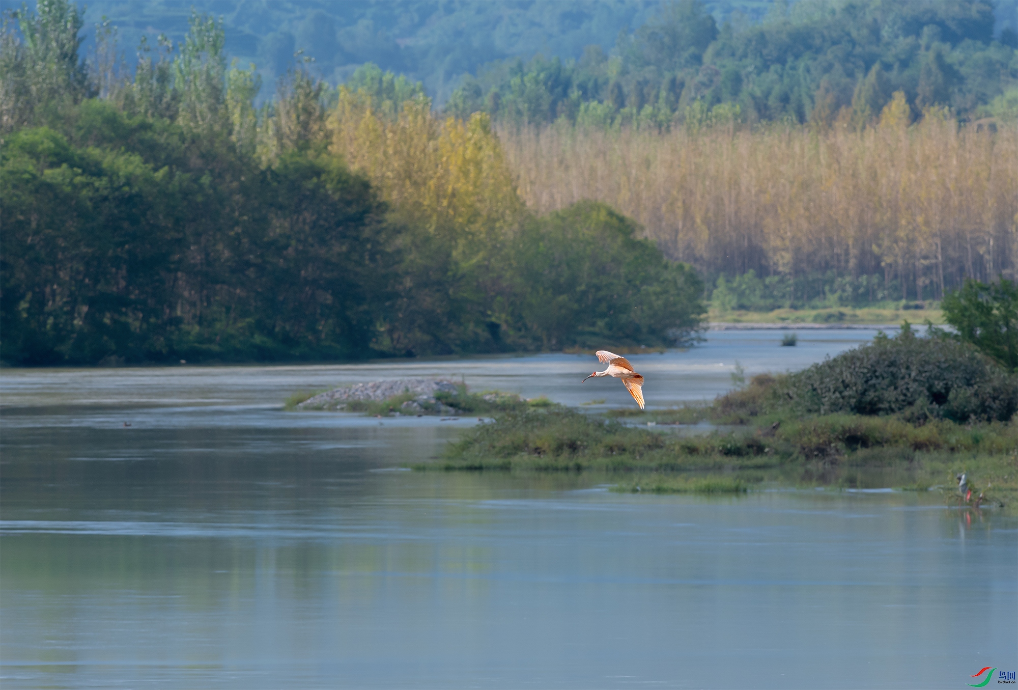 DSC_4529-2.jpg