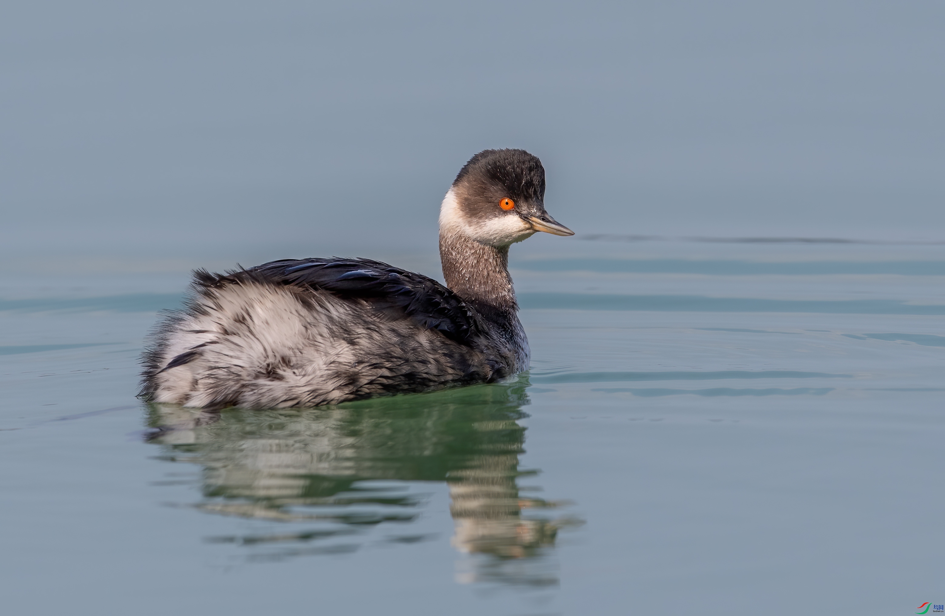DSC_5080-1.jpg
