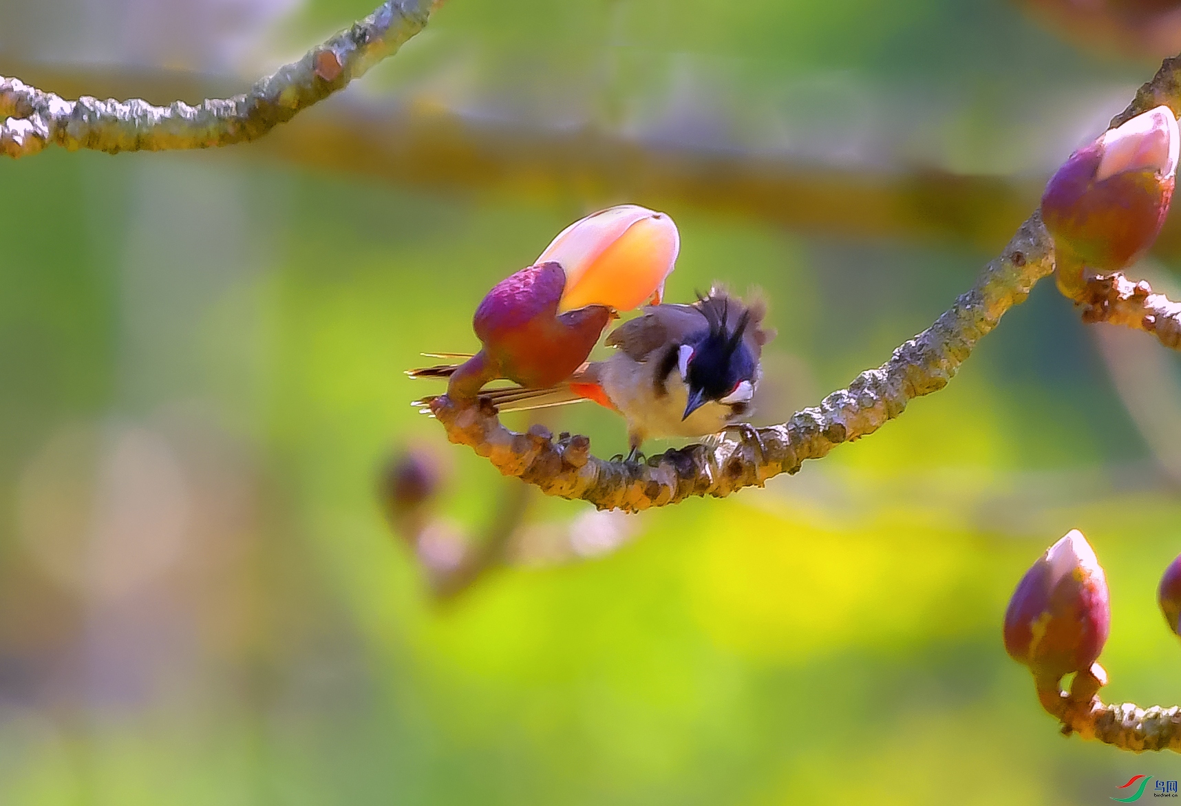 DSC_5102.JPG
