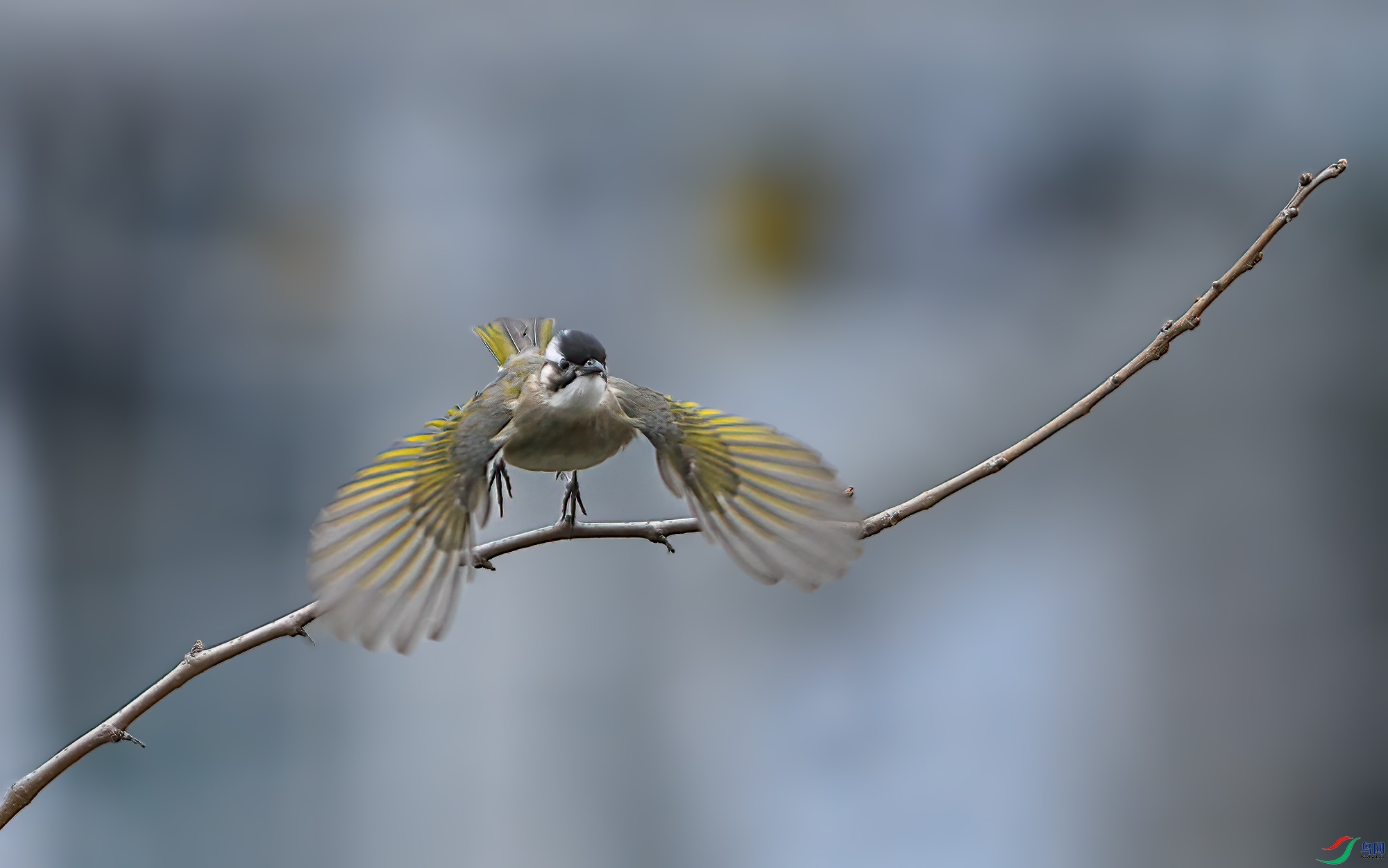 DSC_3070.jpg