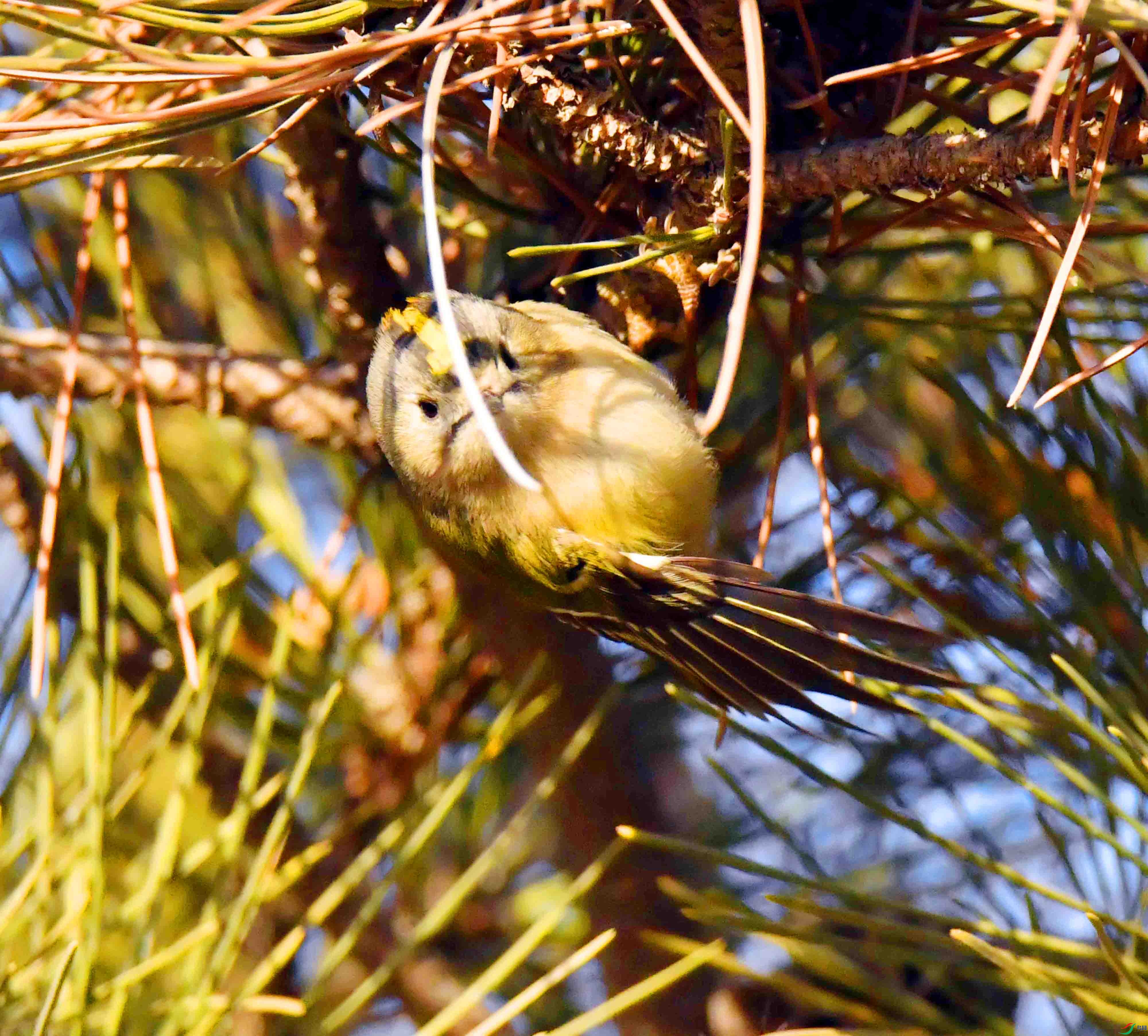 DSC_9993.JPG