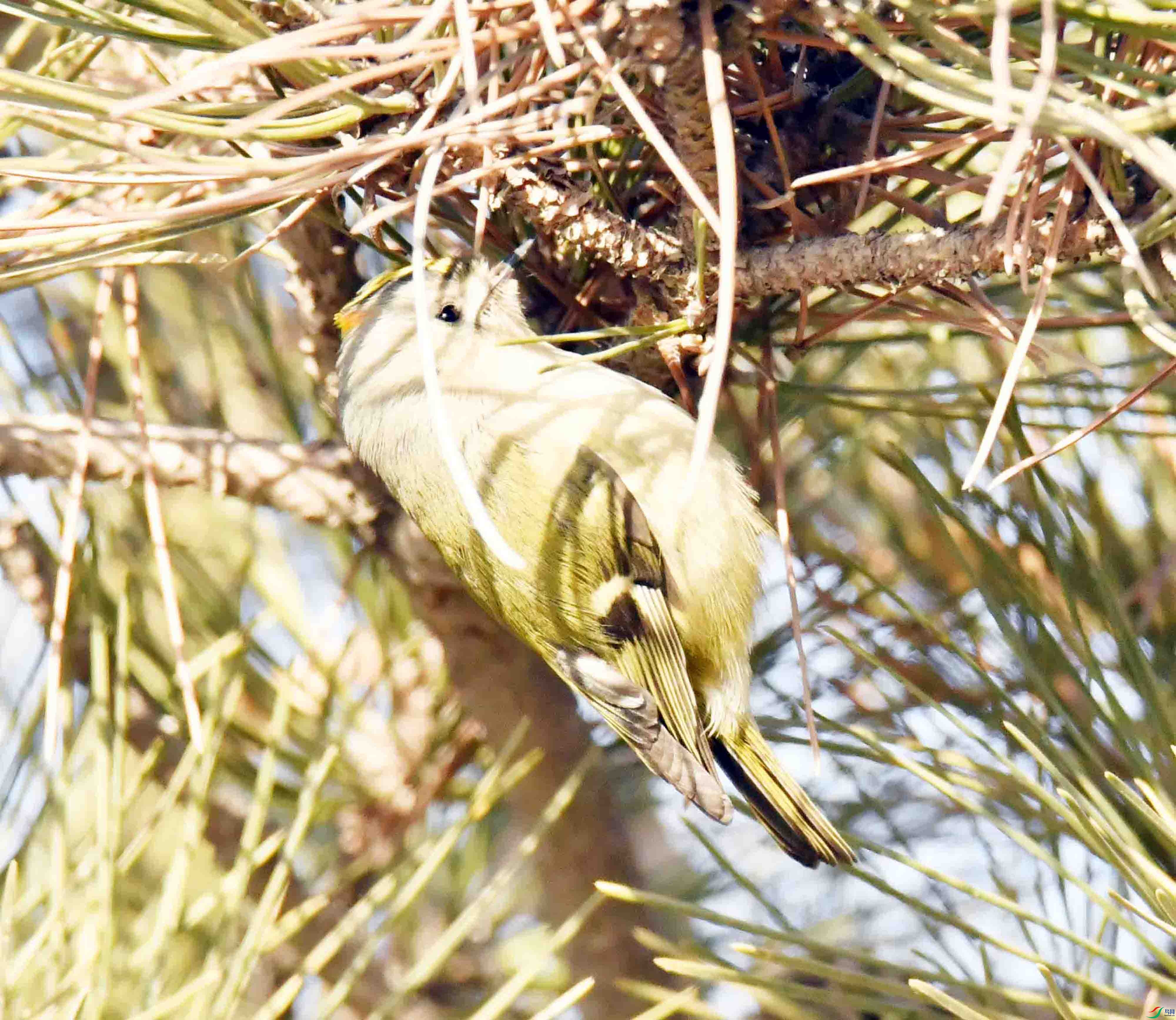 DSC_9992.JPG