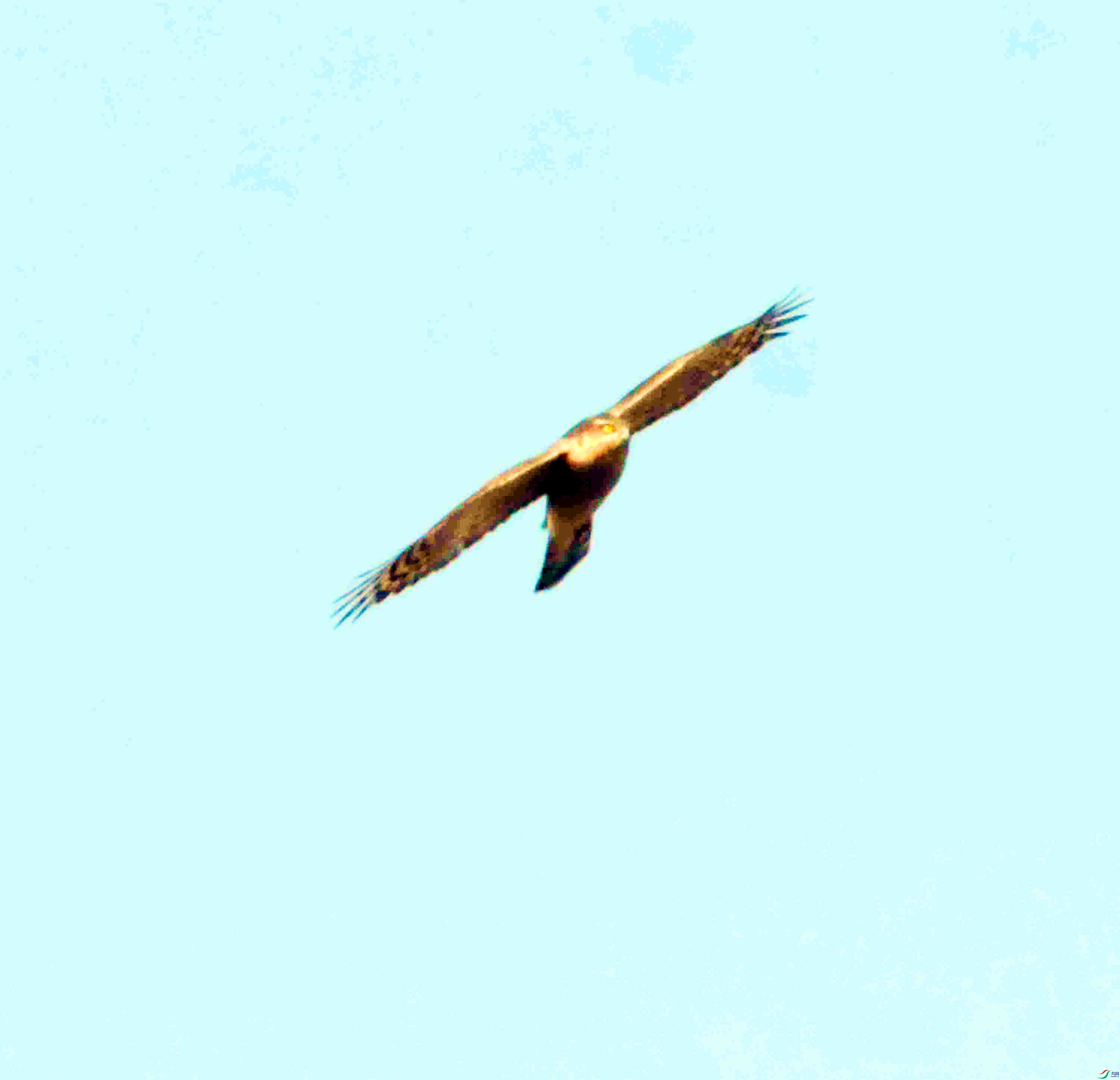 DSC_1518.JPG