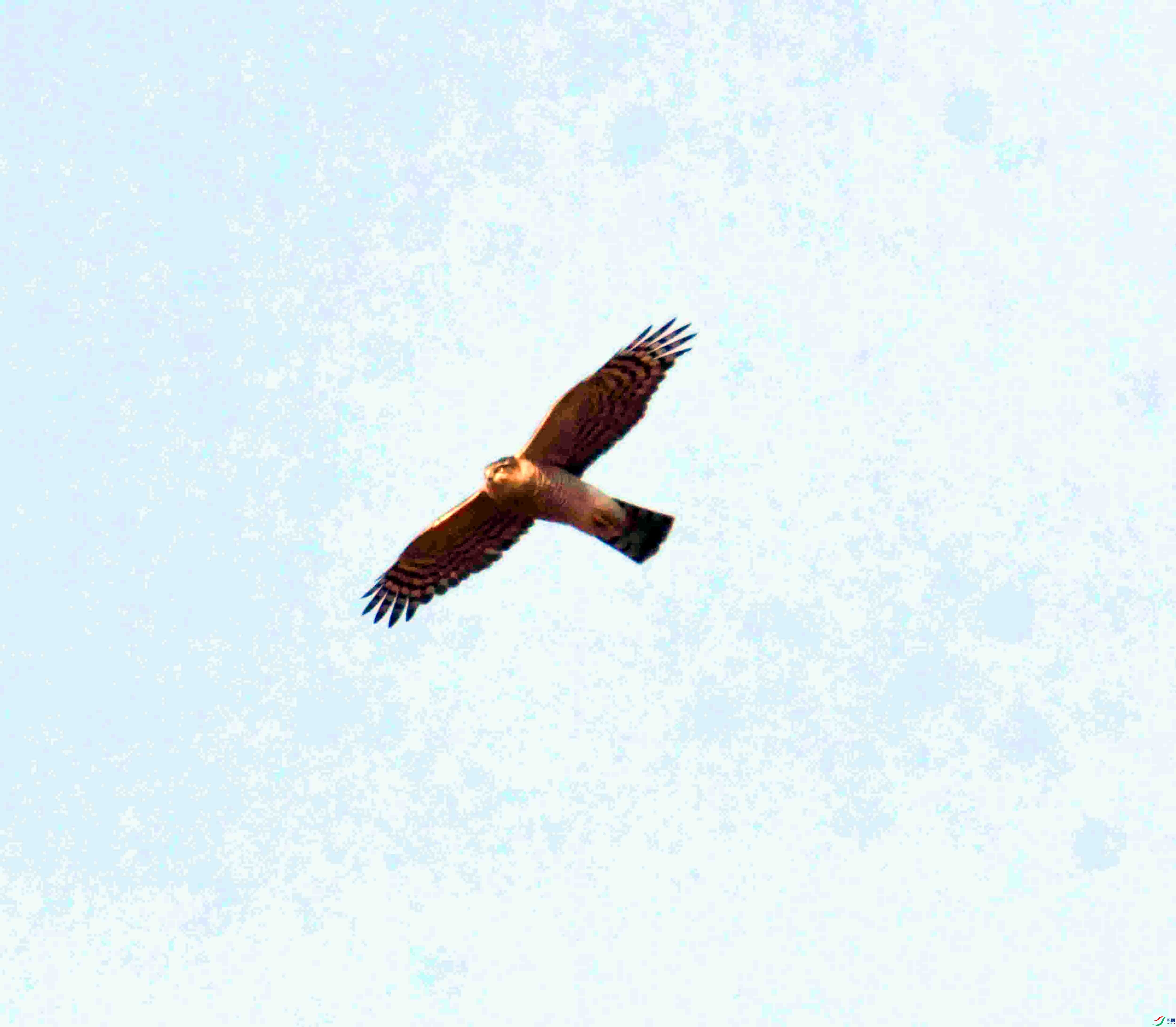 DSC_1522.JPG