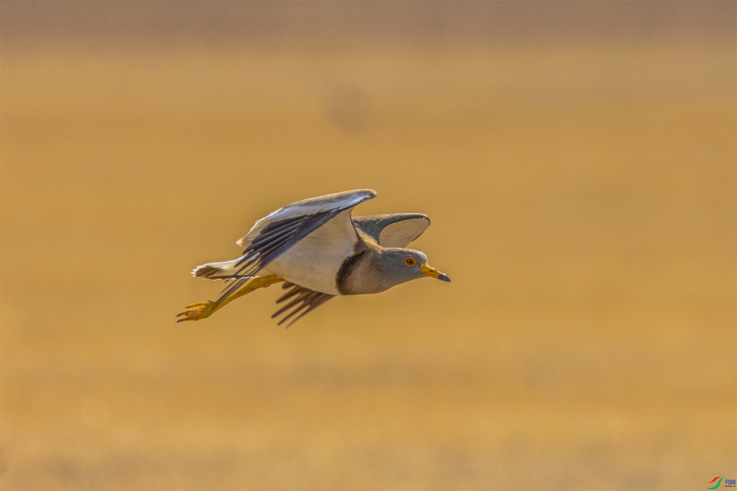 1K3A2322 ����1.jpg