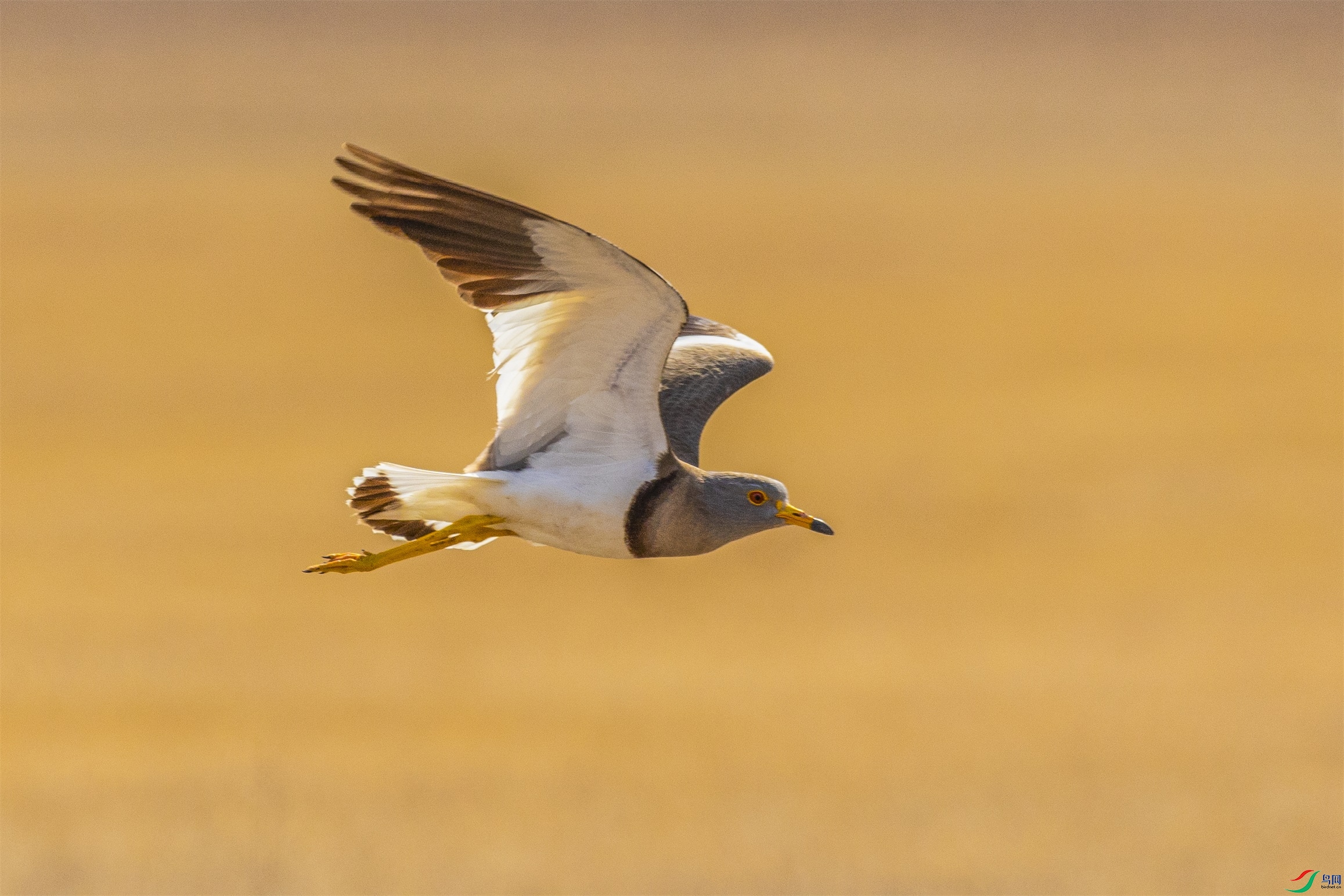 1K3A2326 ����1.jpg