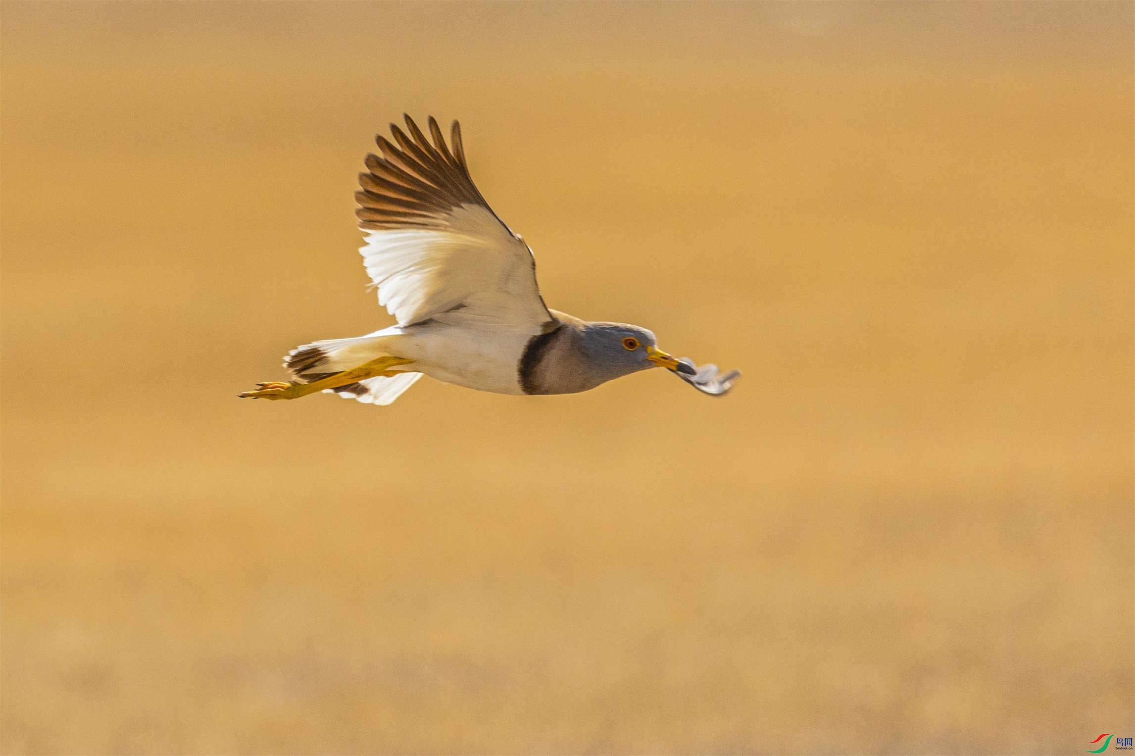 1K3A2327 ����1.jpg