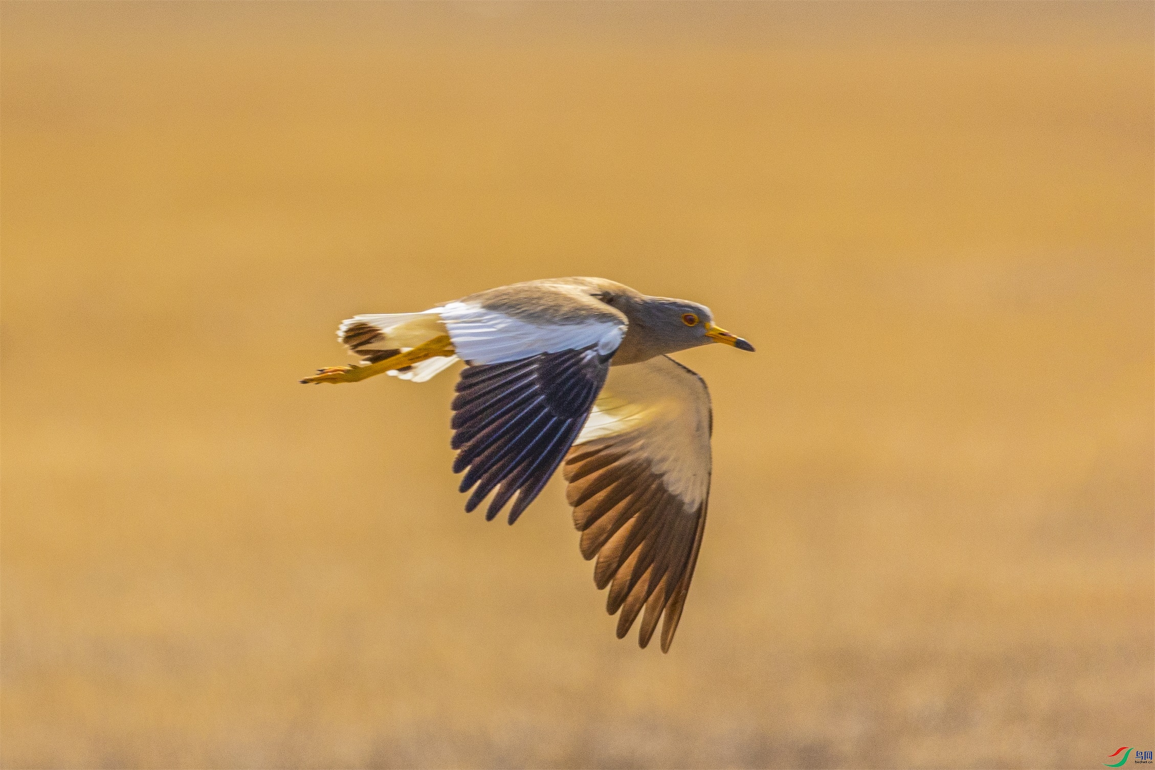 1K3A2328 ����1.jpg