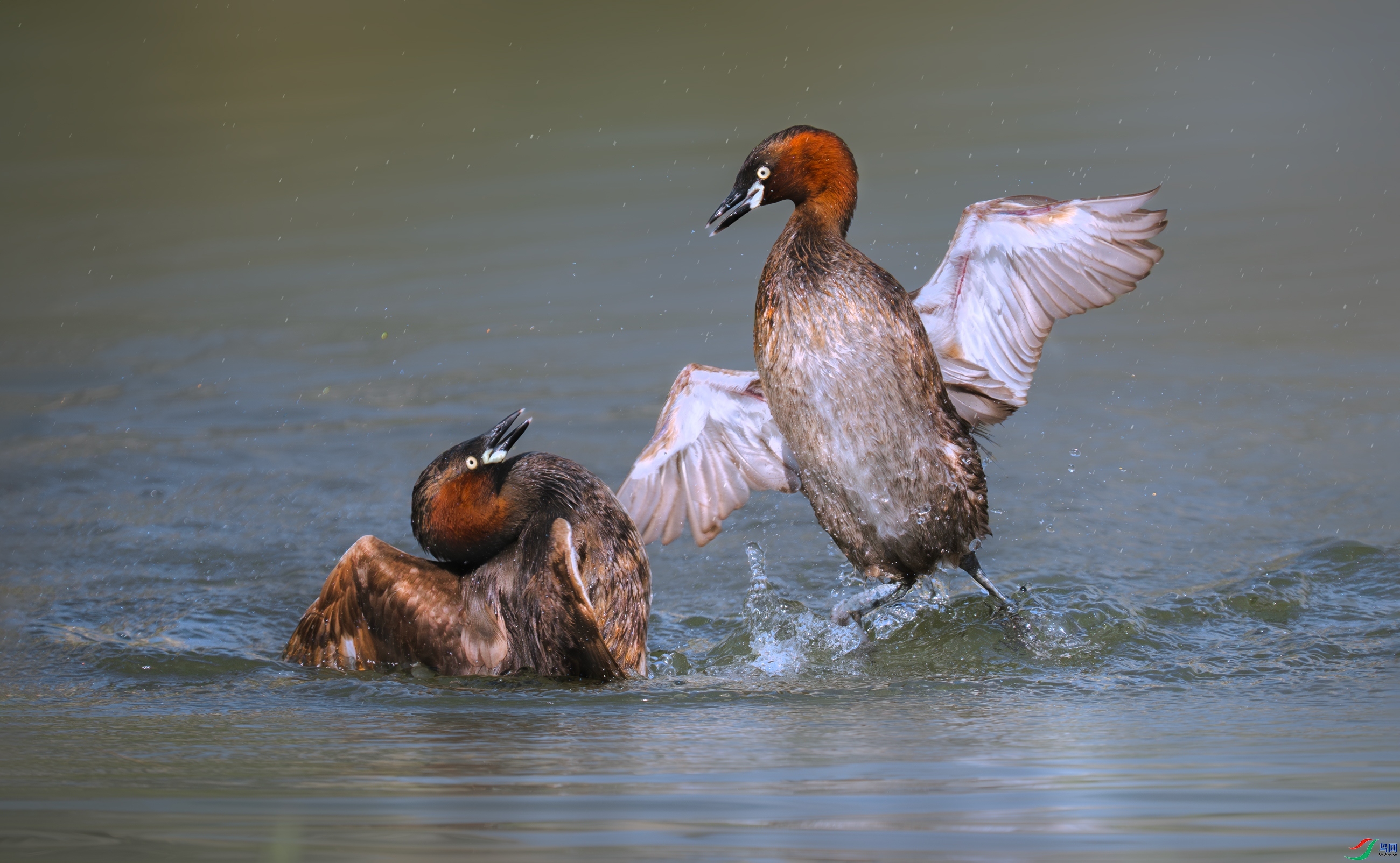 С���eҲ��� ���� 춼ͷ� ��һ.jpg