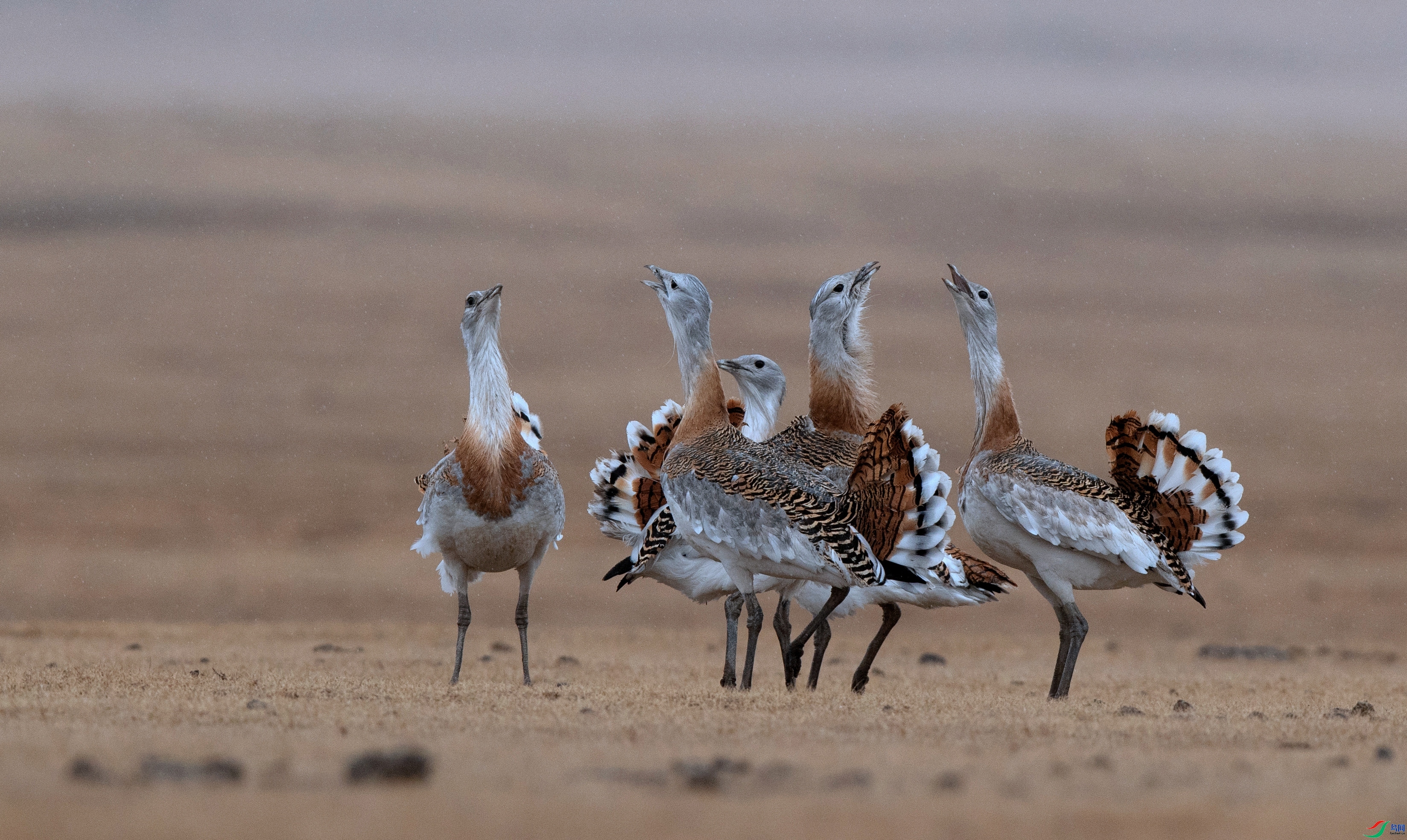 ɶ���  ���� ��Ƭ��� �ܶ�.jpg