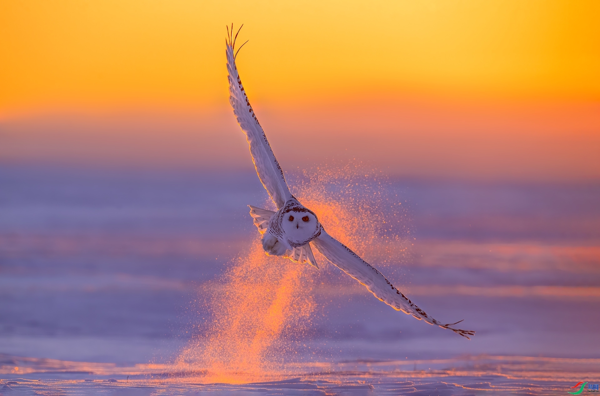 ϼ�����^  ���� �������� �ܶ�.jpg