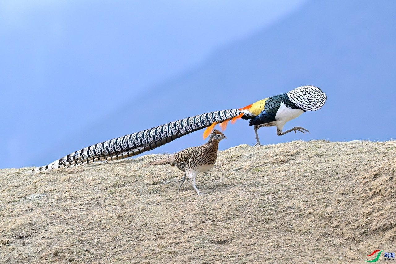 ������������  ���� �չ�����-����  ����.jpeg