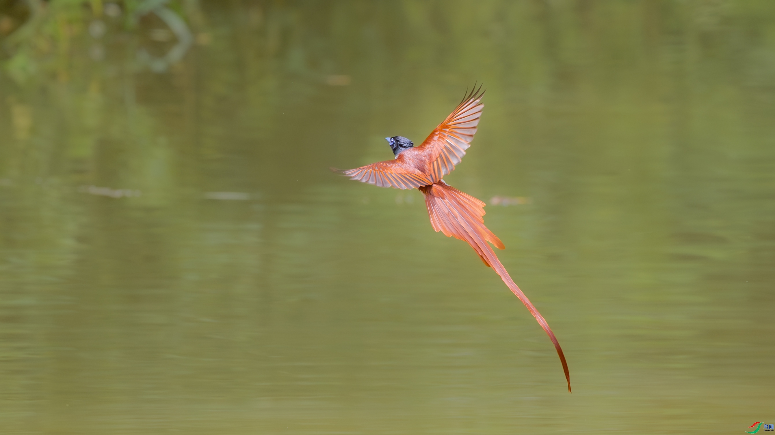 ˮ��Ư  ���� �䱾���� ����.jpg