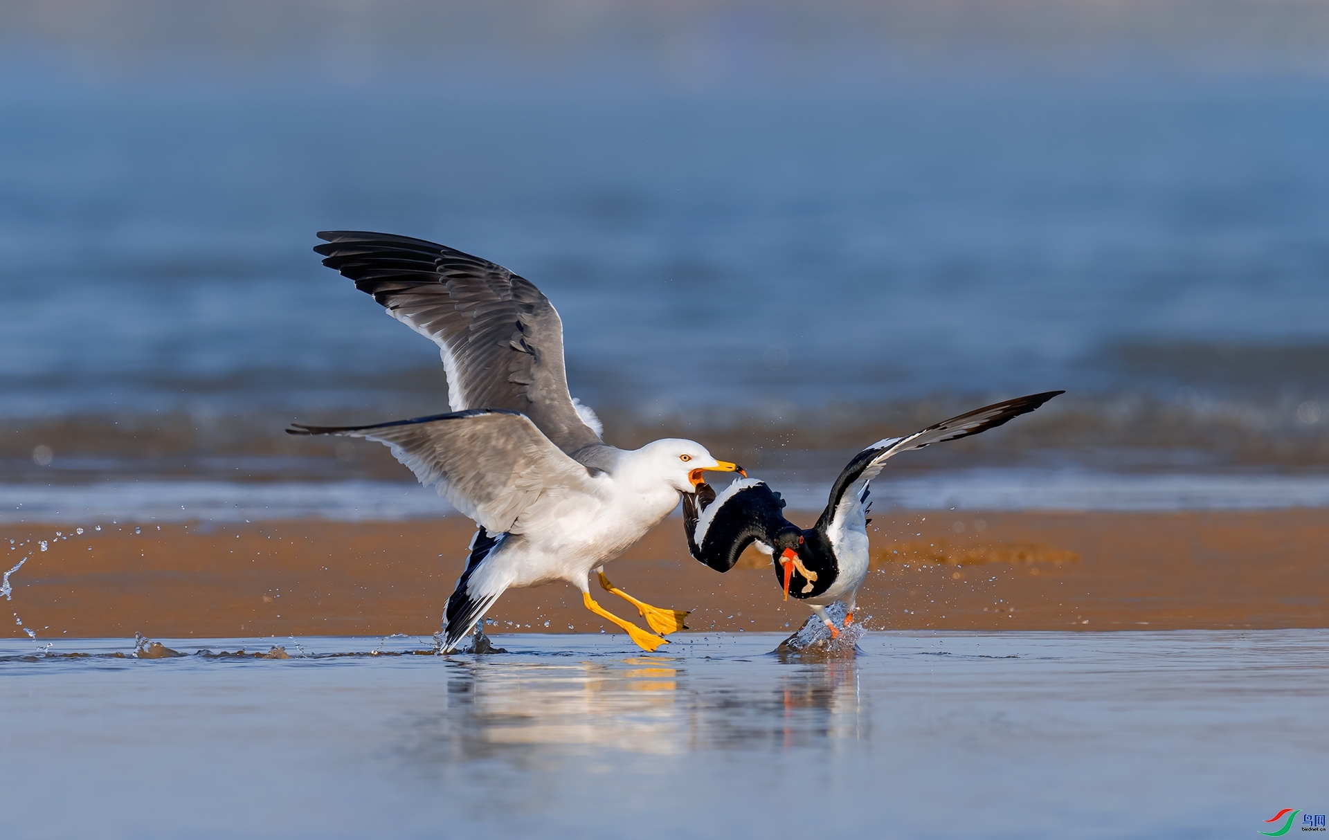 ��ʳ ���� ��������  ����.jpg