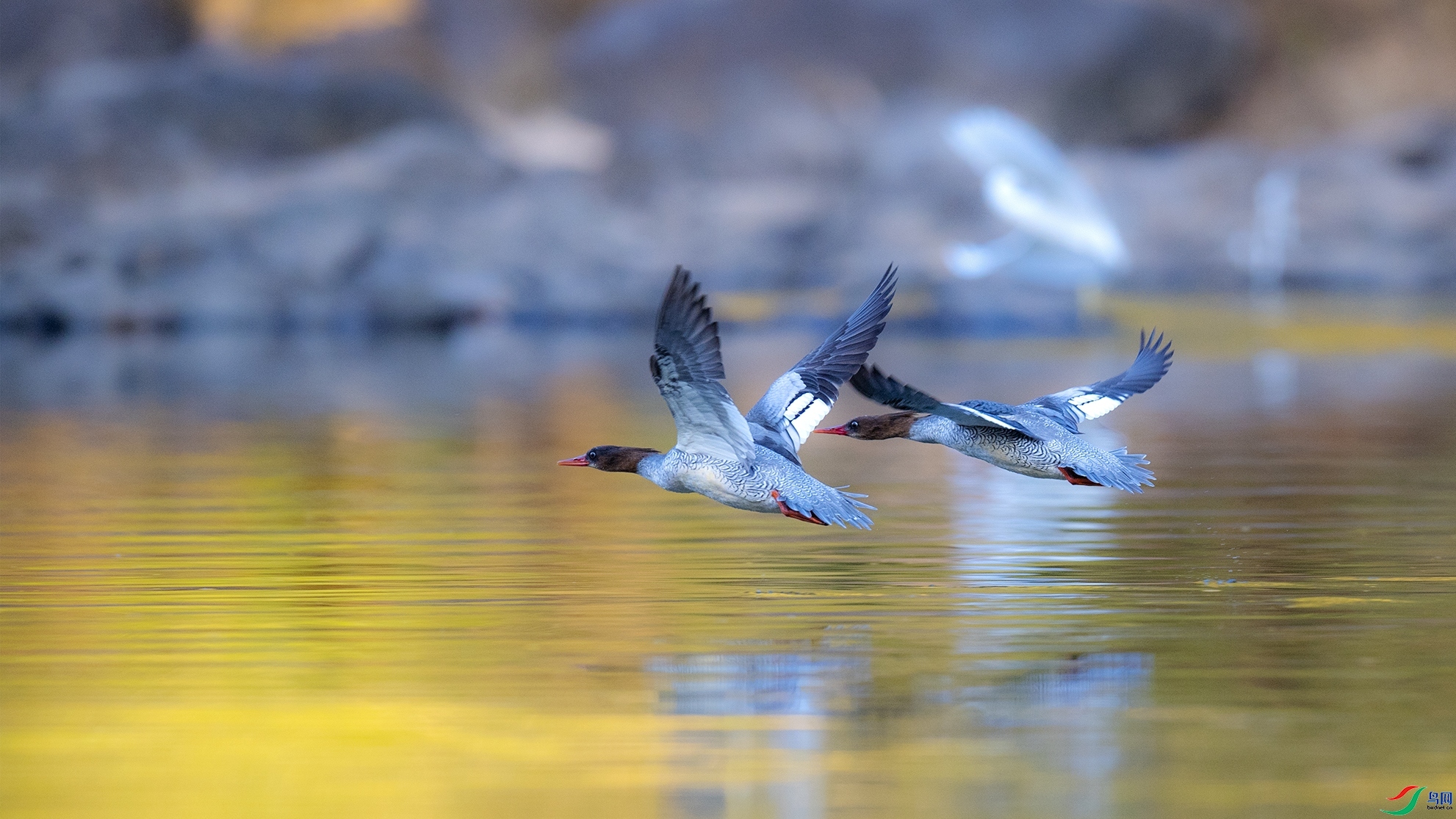 ������ ���� ��ɽ���� ����.jpg