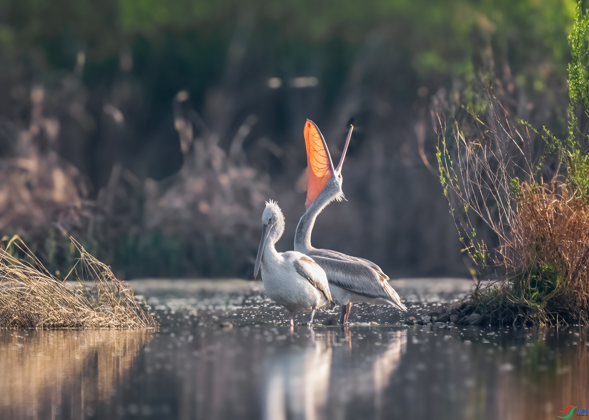 ��Ӱ���� ���� ������ ����.jpg