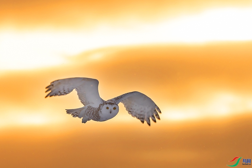 ���δ���Ȼ ���� ���ַ� ����.jpg