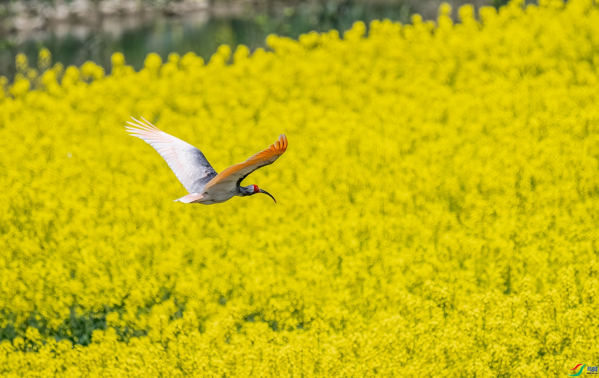 �ͻ� ���� ������ ����.jpg