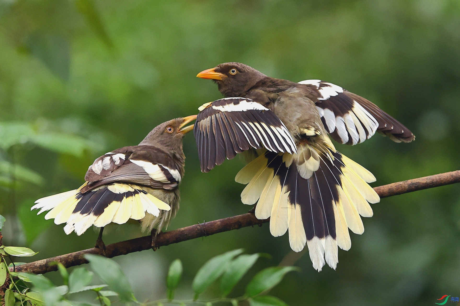 �������� ���� ��Ұ�Ÿ� ����.jpg