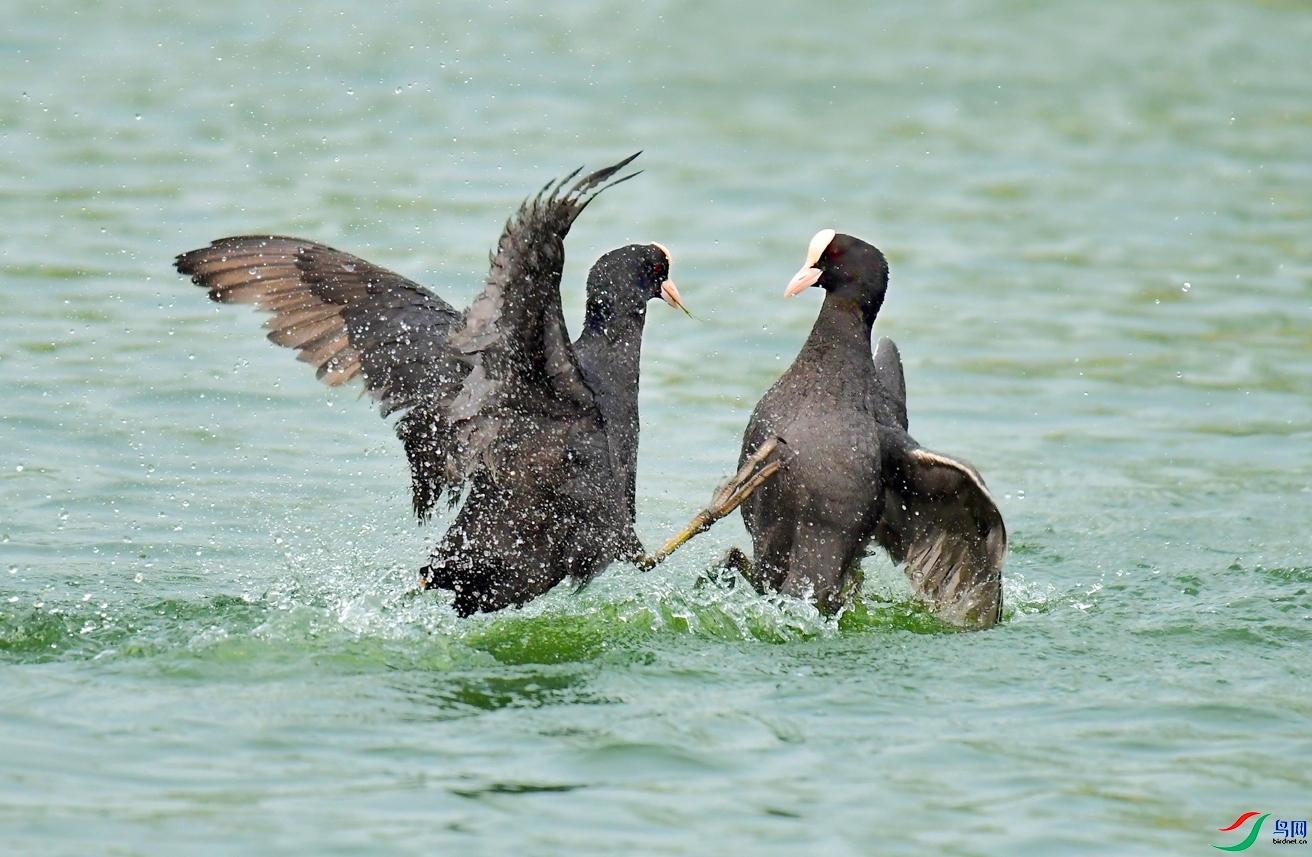 ����һ�� ���� ����С�� ����.jpg