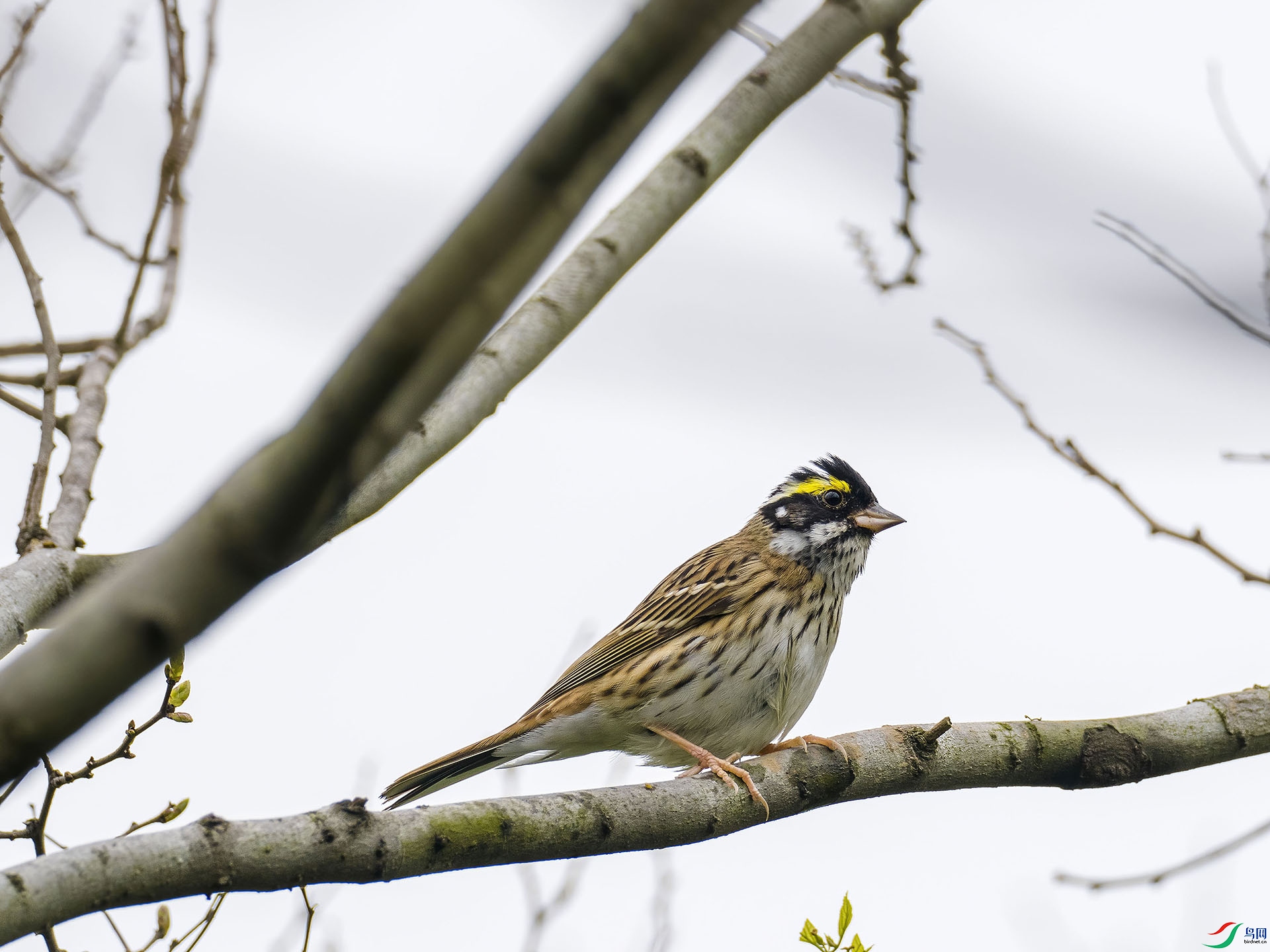 02 P4074808-DeNoiseAI-standard.jpg