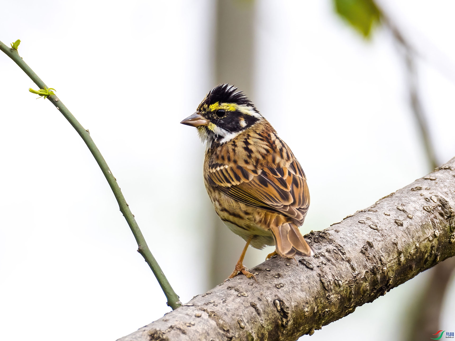 03 P4074789-DeNoiseAI-low-light.jpg