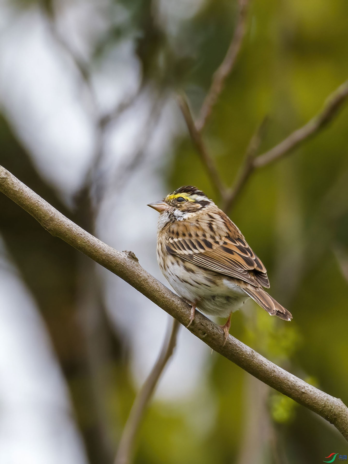 05 P4074779-DeNoiseAI-low-light.jpg