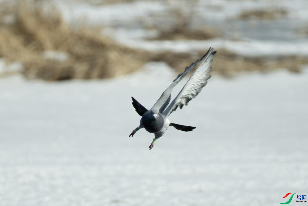 5���������㣺 ��Ȧf5.6  1/80 ���������㼴�Ƕ��������Ҳ�ǶԾ�ͷ���飬�豸�ͺ� ILCE-7RM5���������610 ...