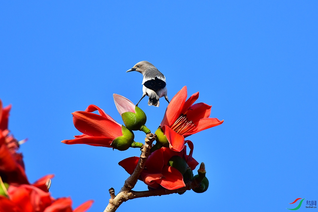 DSC_1430.JPG