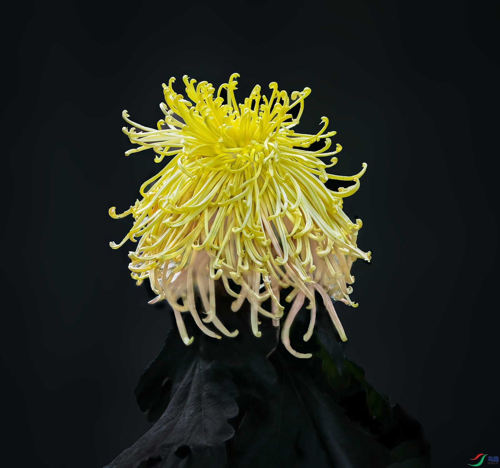 0000583A0486 ���� 1000k.jpg