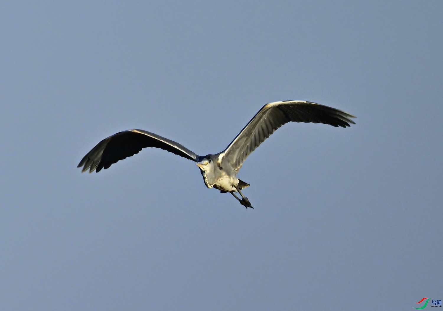 _DSC8395f.jpg