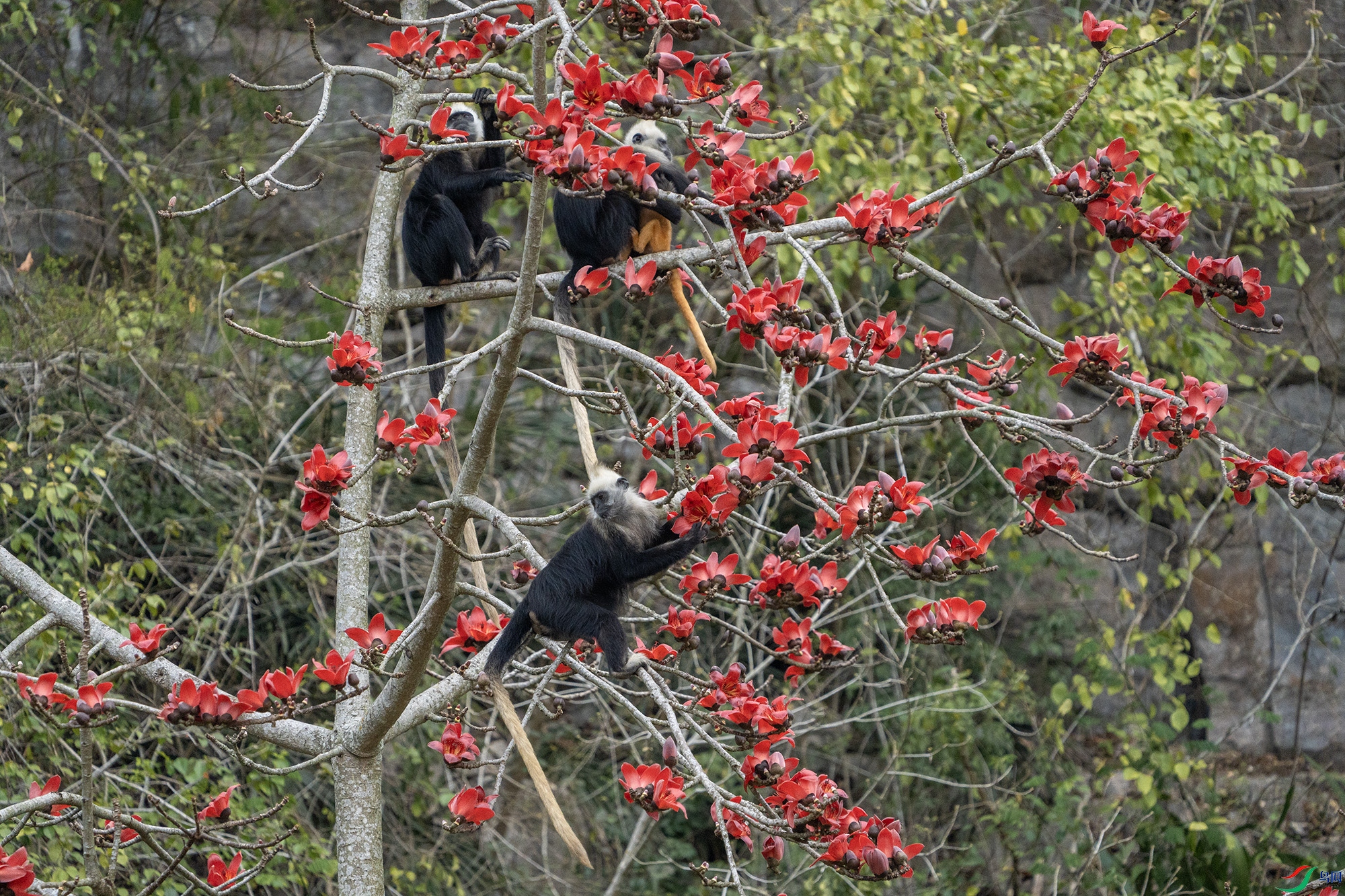 DSC04439 ����1111111111.jpg