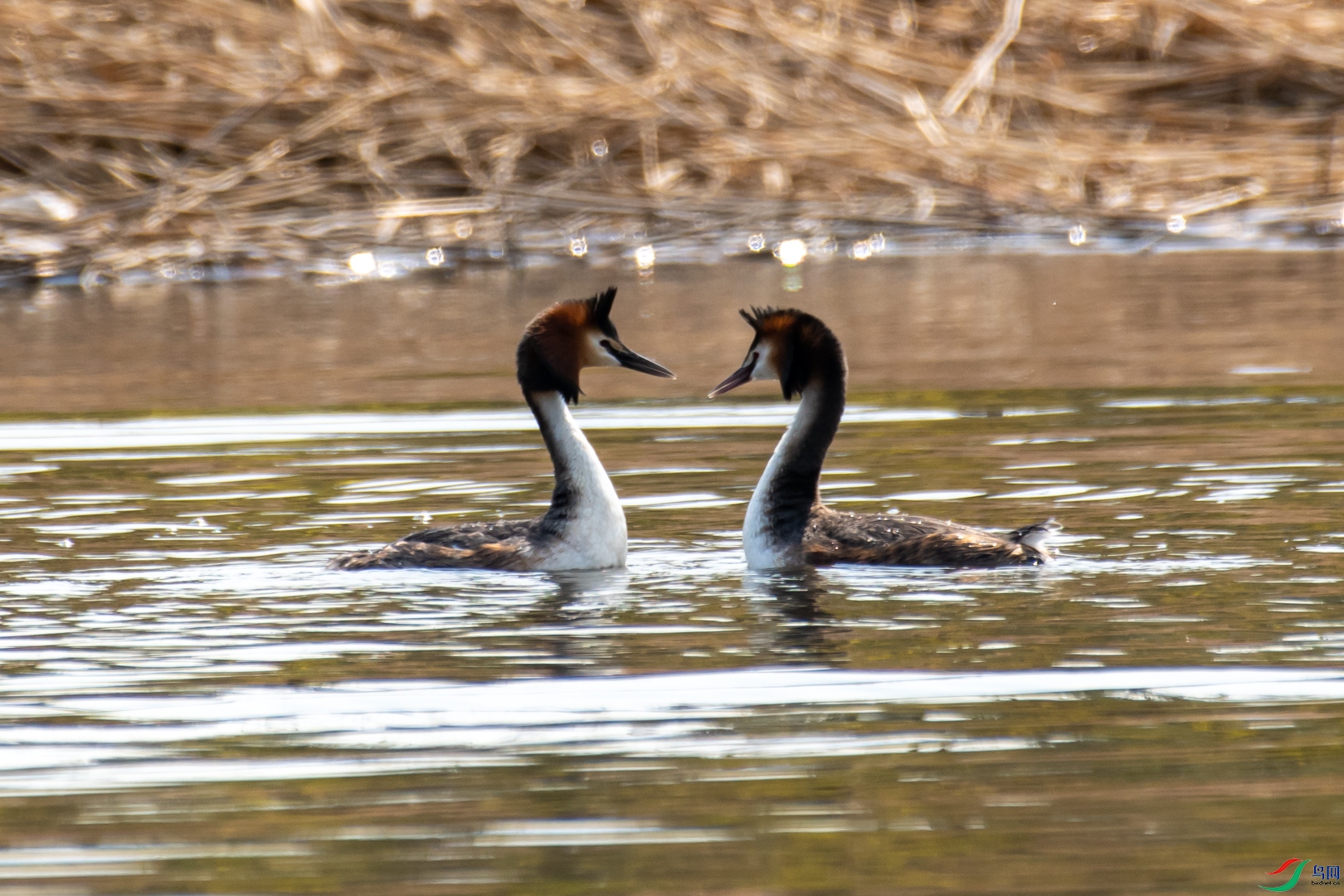 DSC_5945.jpg