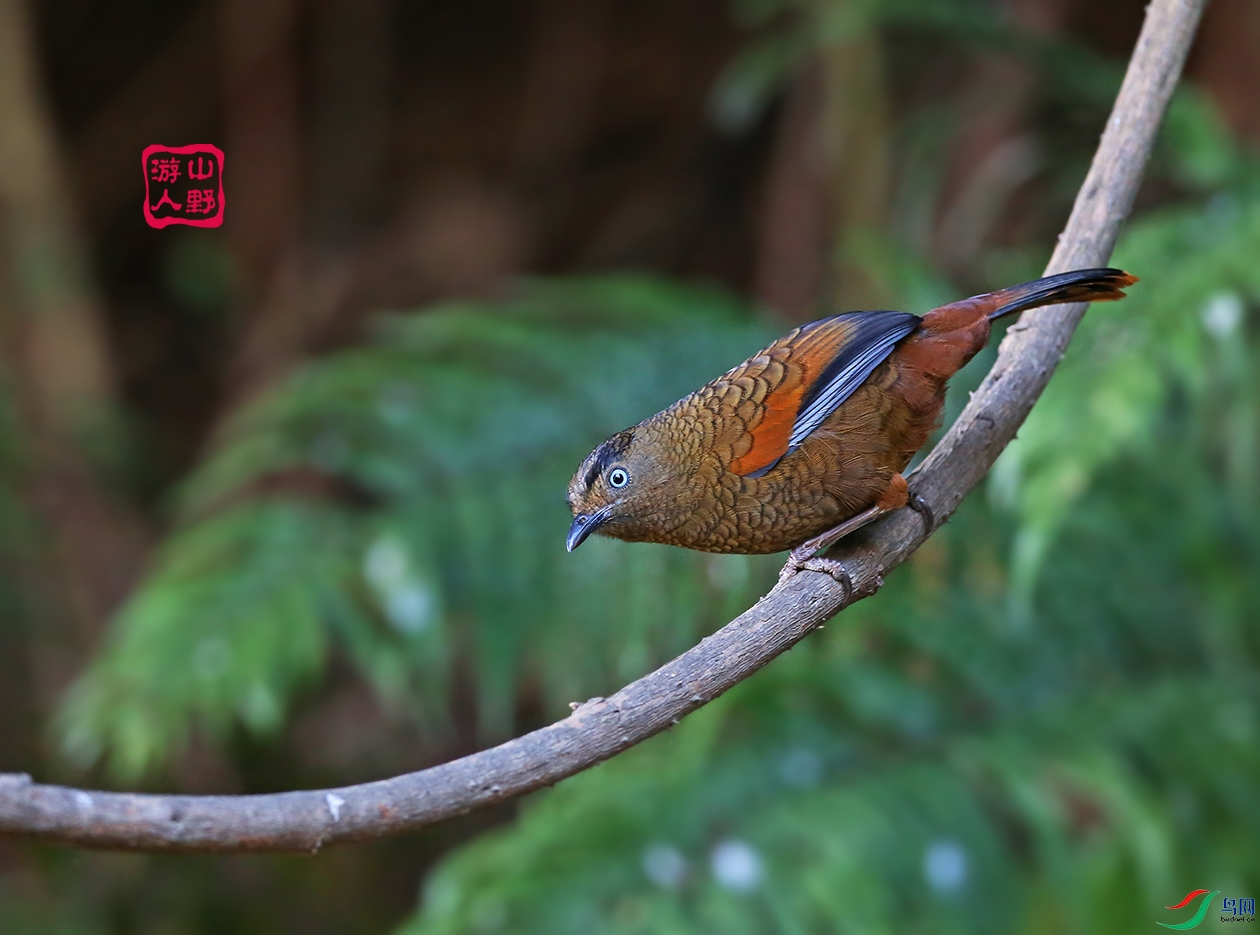 F00A0588.jpg