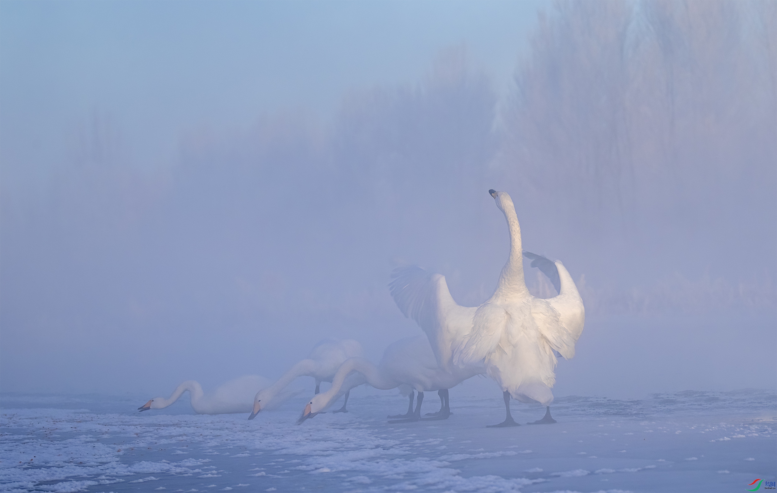 AC3I6326 ����.jpg