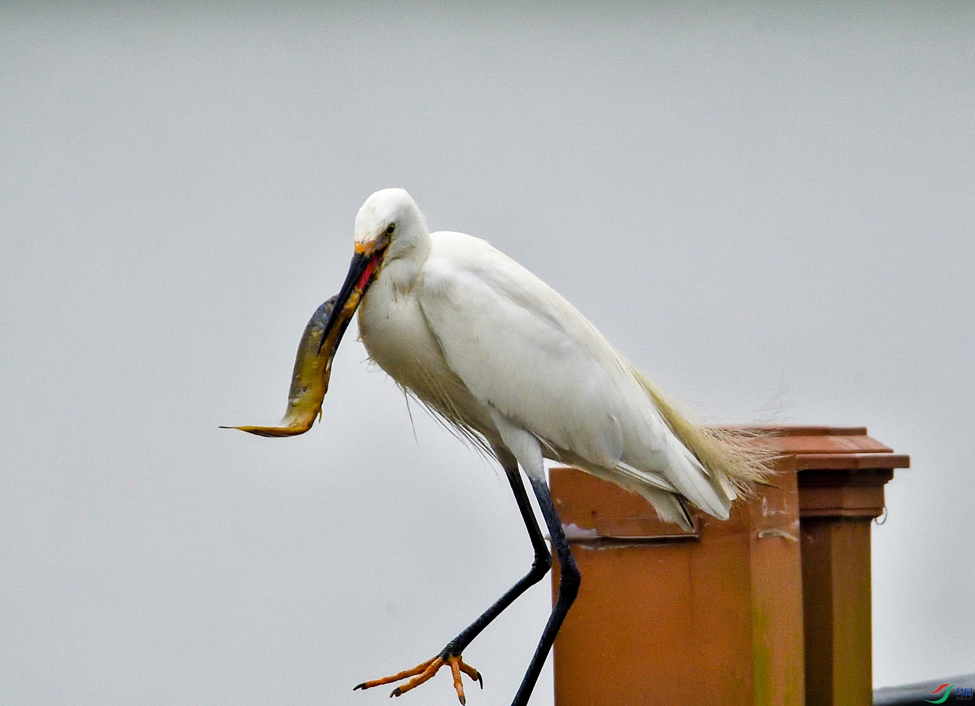DSC_7072.jpg