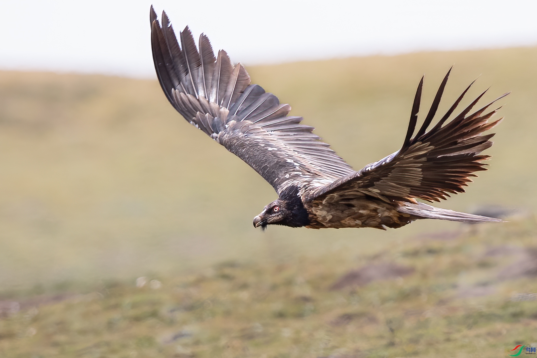 AY8I1701 ����.jpg