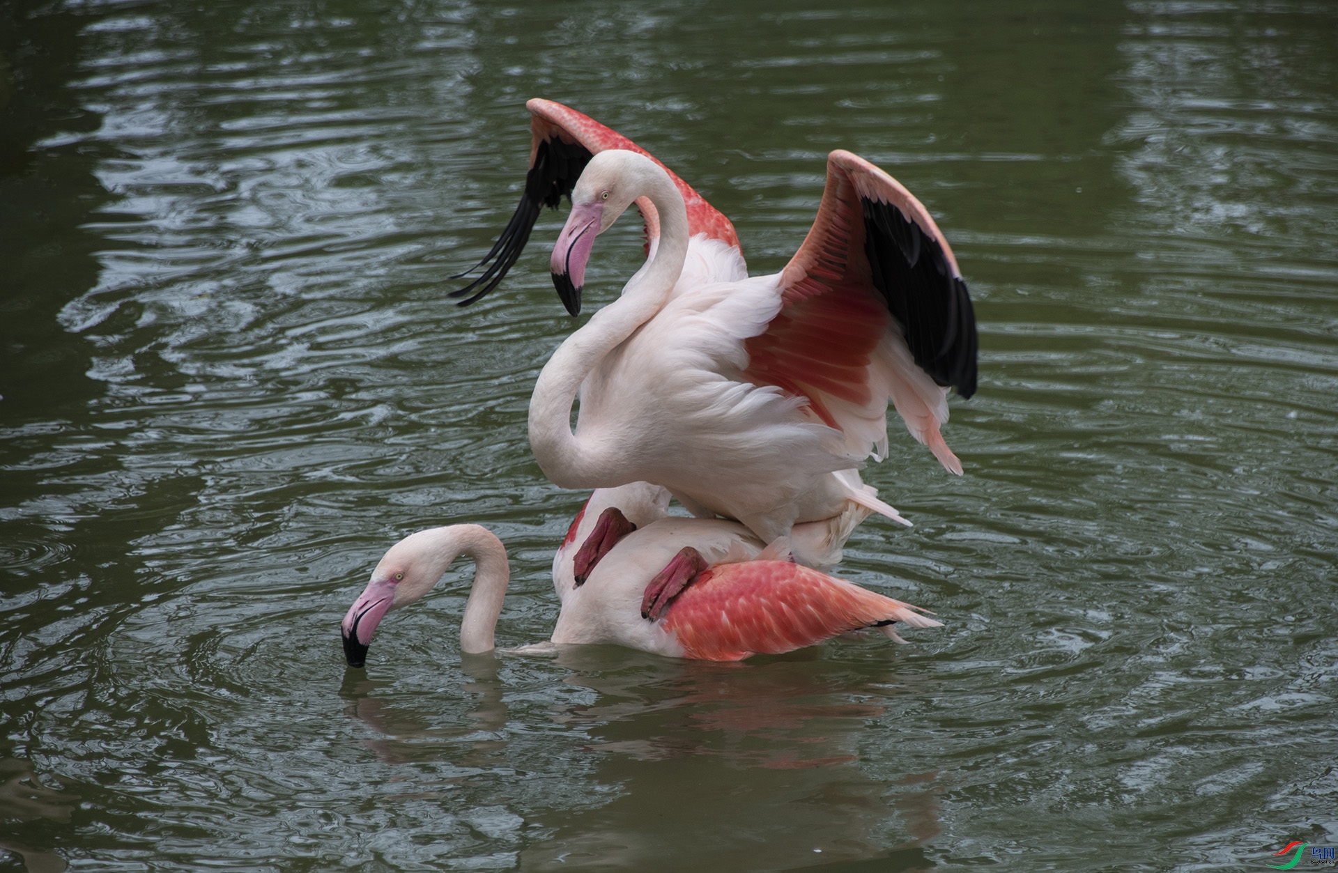 XQD_1579 �����.jpg