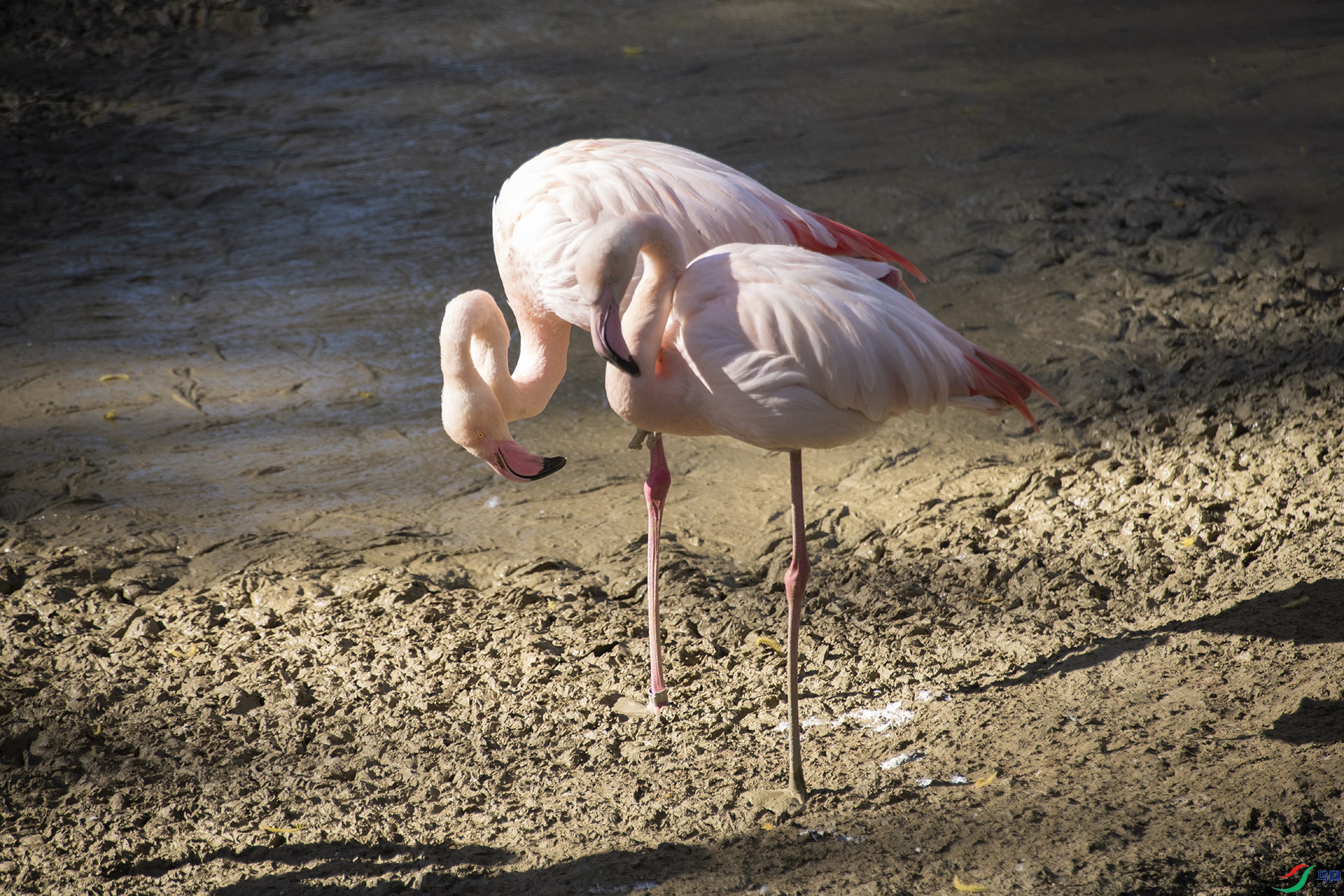 XQD_0530 �����.jpg