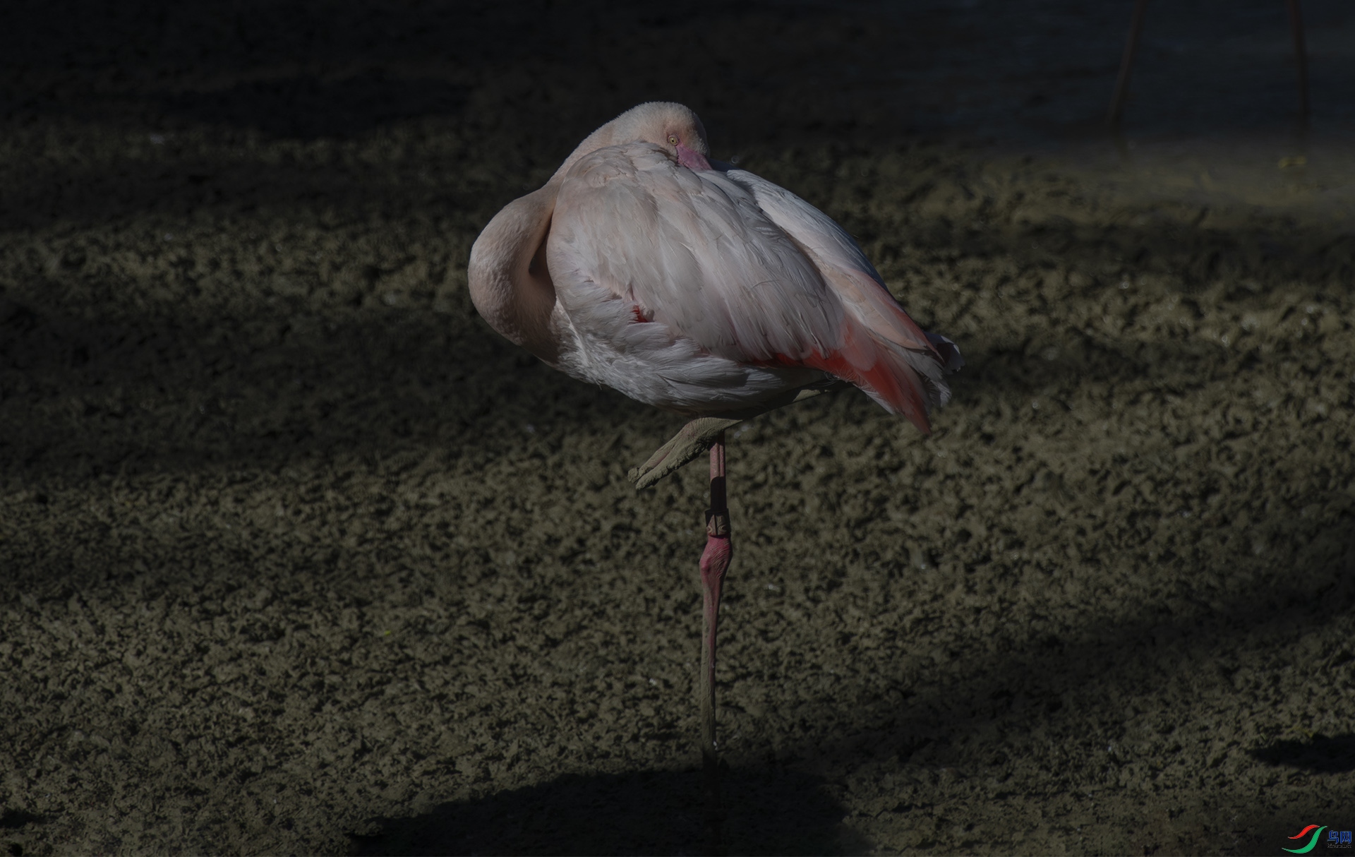 XQD_0513 �����.jpg