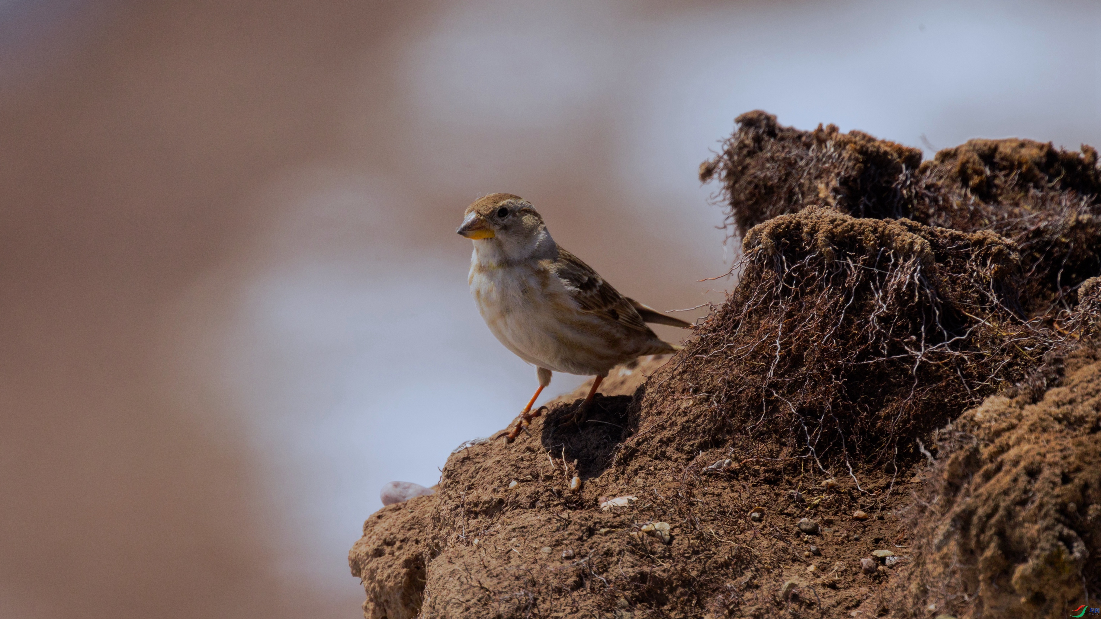 7X5A0428 ���� - ����.jpg