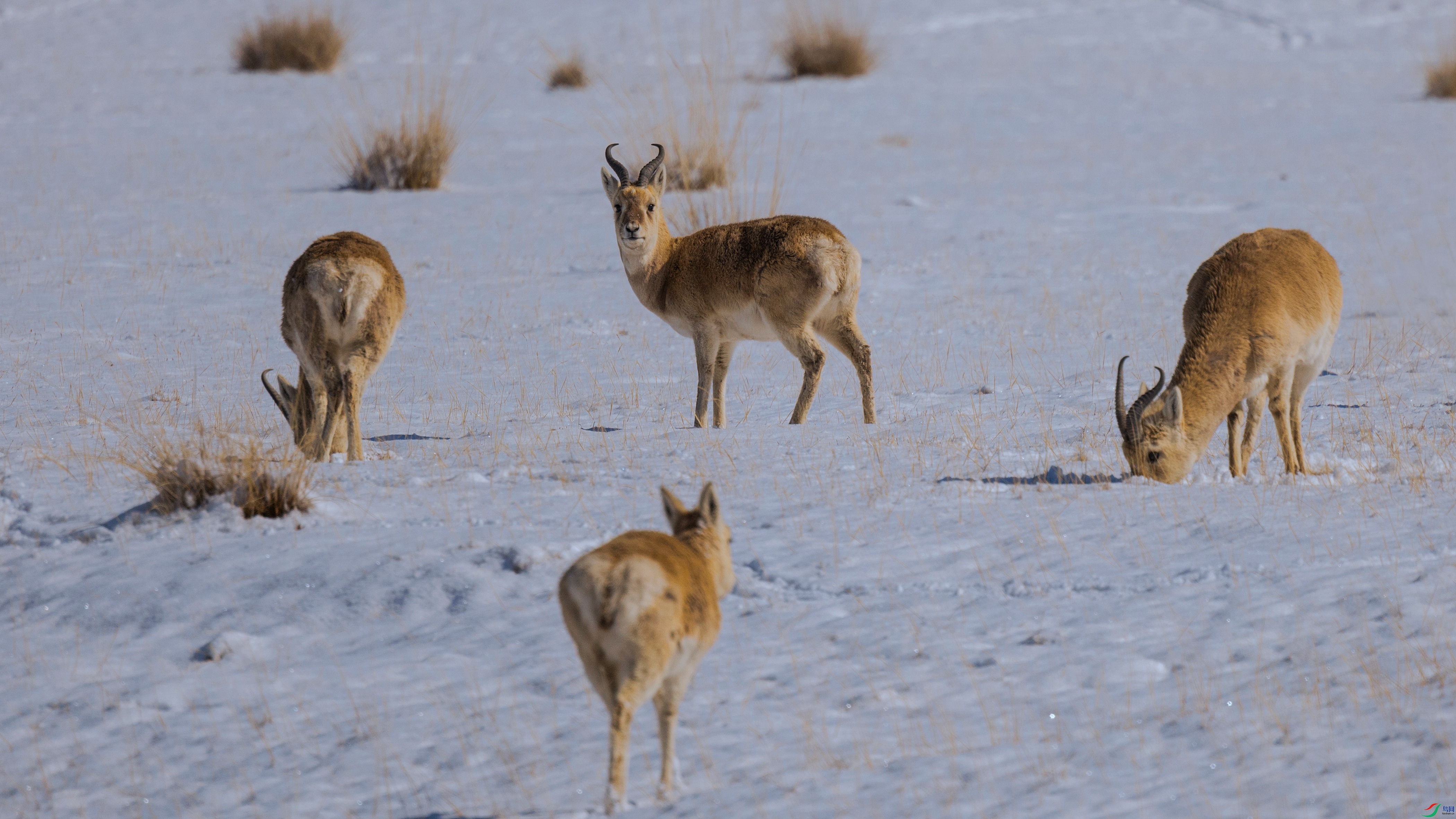 7X5A0005 ���� - ����.jpg