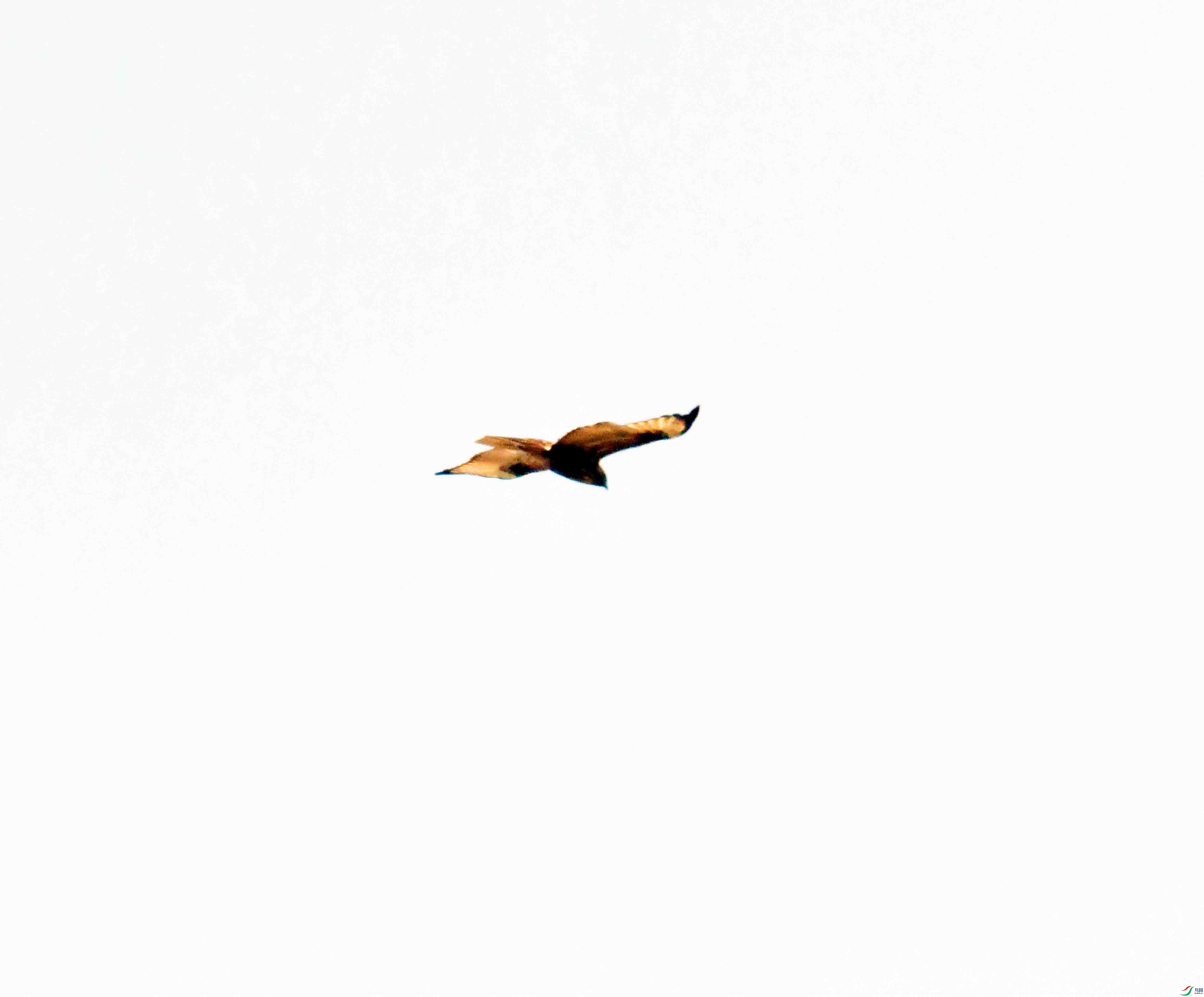DSC_7782.JPG